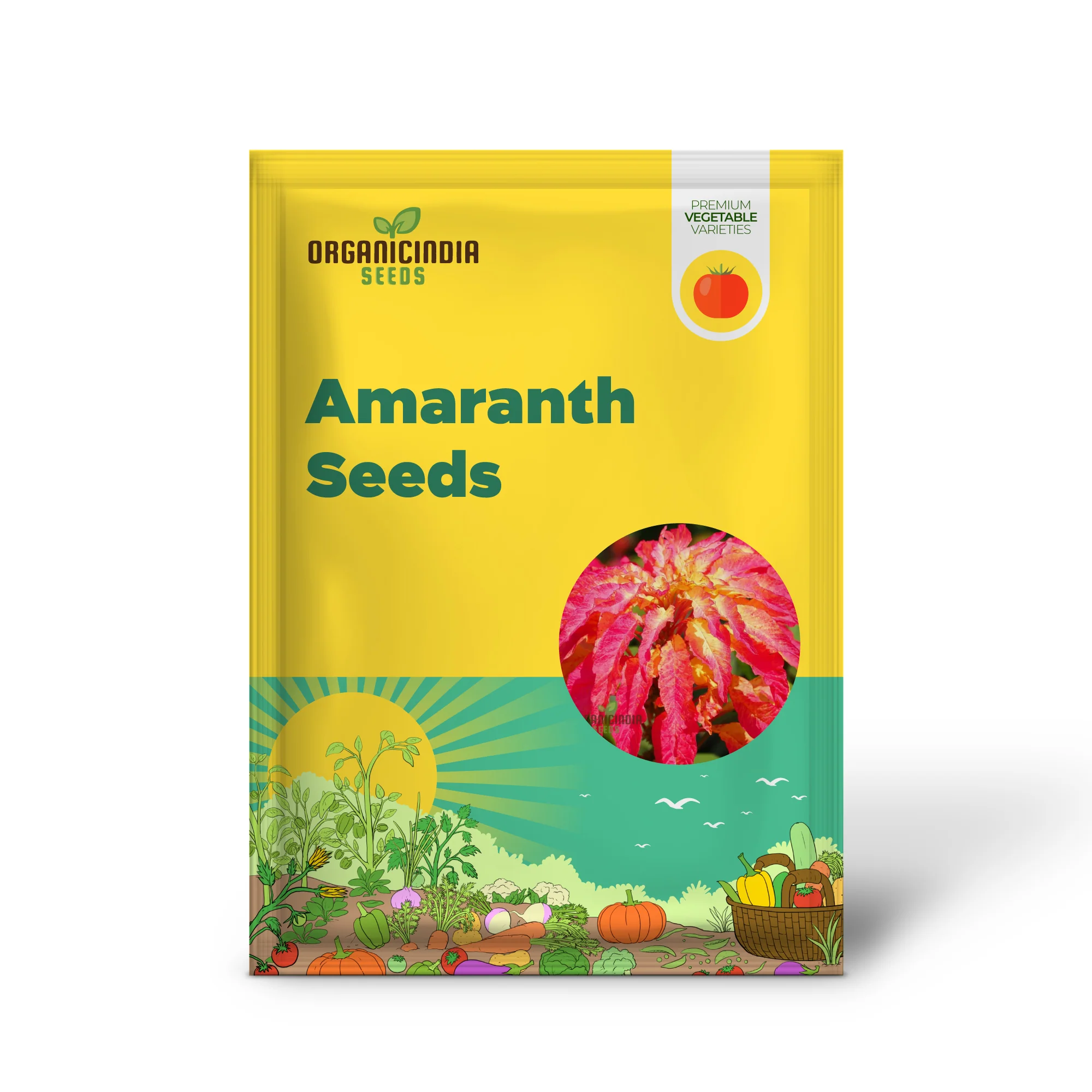Amaranth Bicolor Illumination Seeds for Planting, Gardening Enthusiasts - Image 2