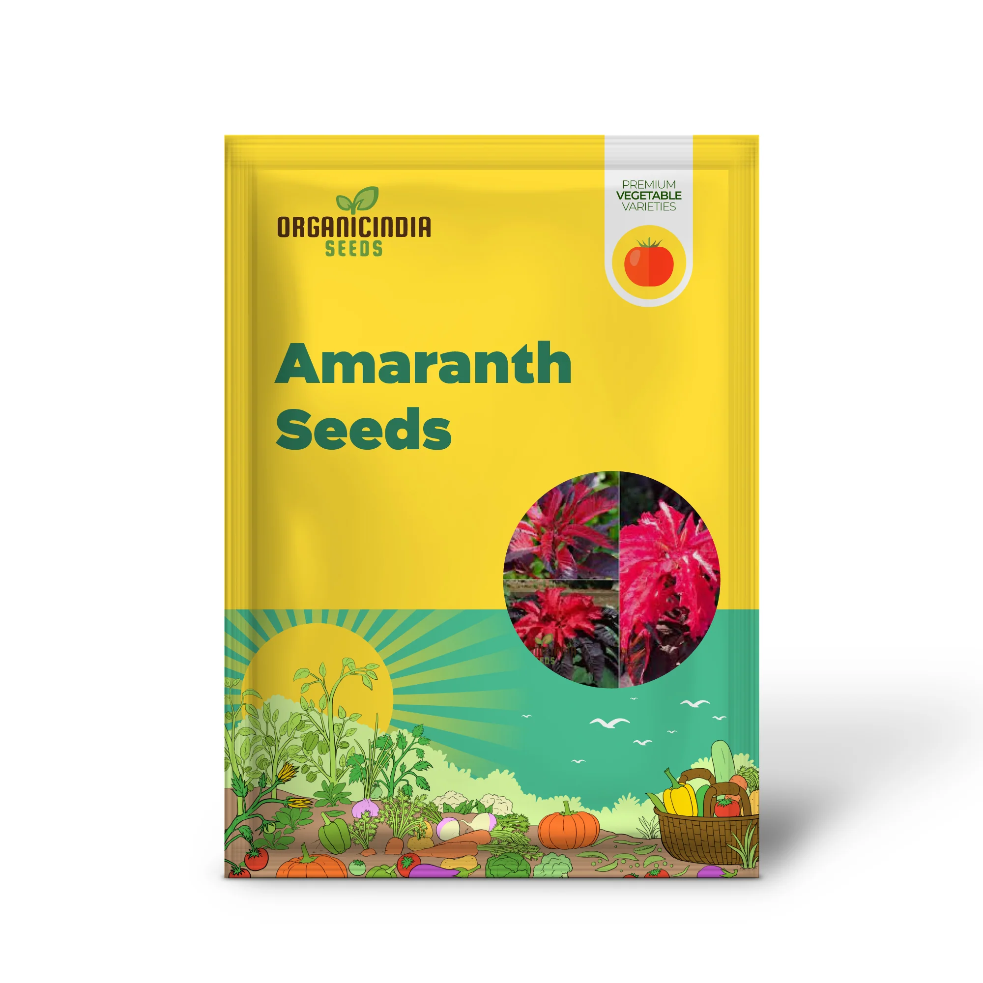 Amaranth seeds for Planting- Early Splendour Seeds for Planting and Gardening Enthusiasts - Image 2