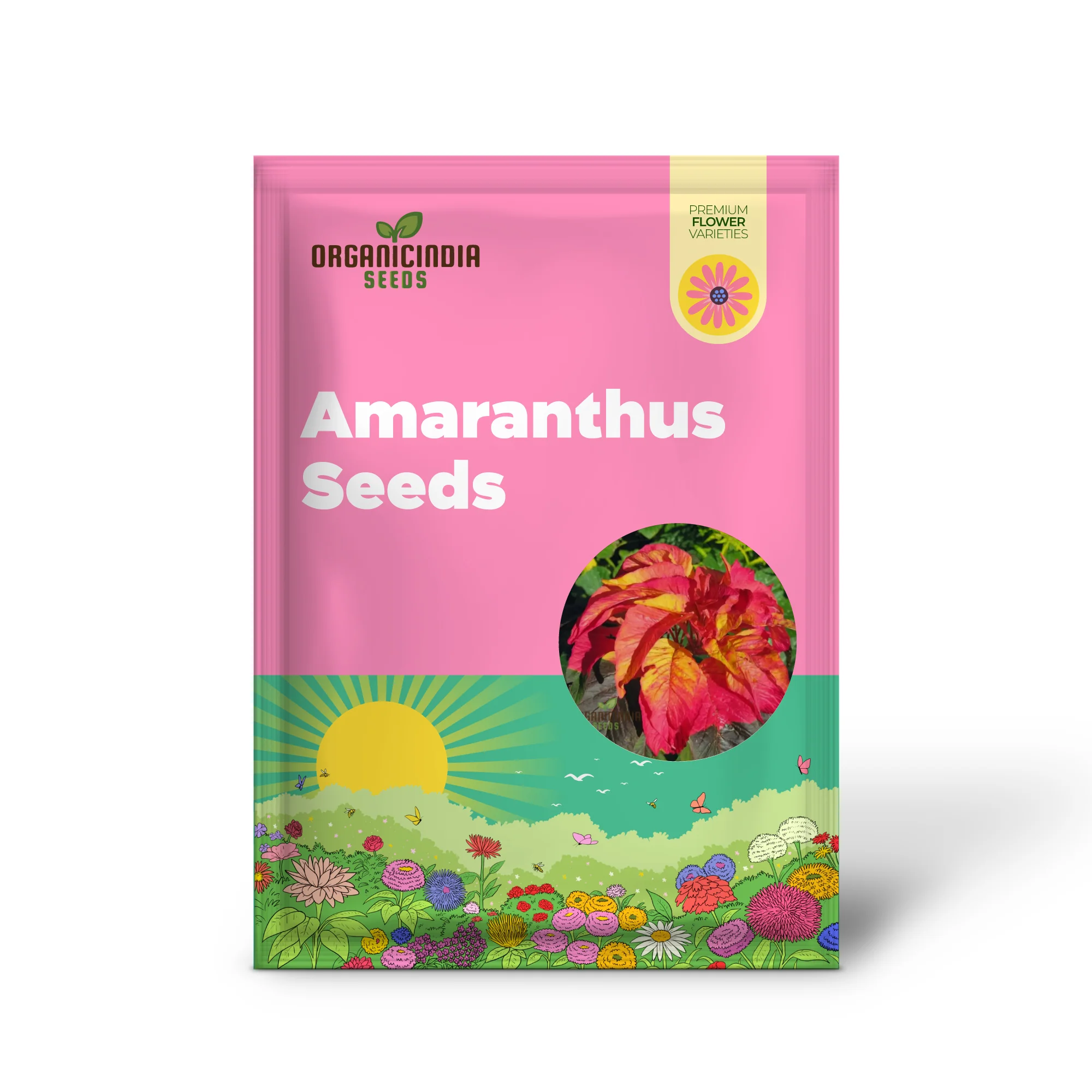 Amaranthus Illumination Seeds – Vibrant Foliage Variety for Colorful Garden Displays - Image 2