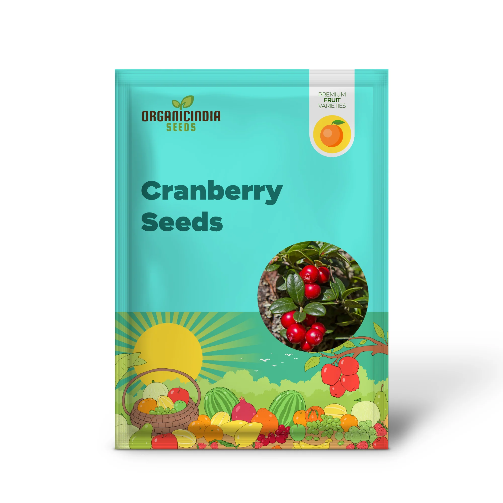 American Low Bush Cranberry (Vaccinium macrocarpon) – Seeds - Image 2