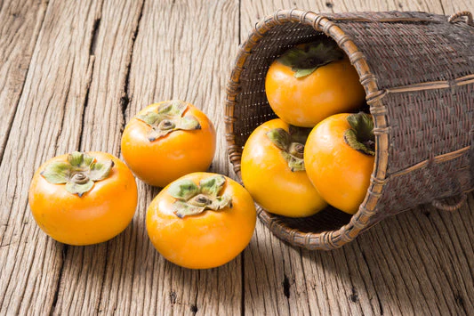 American Persimmon Fruit Seeds - Image 6