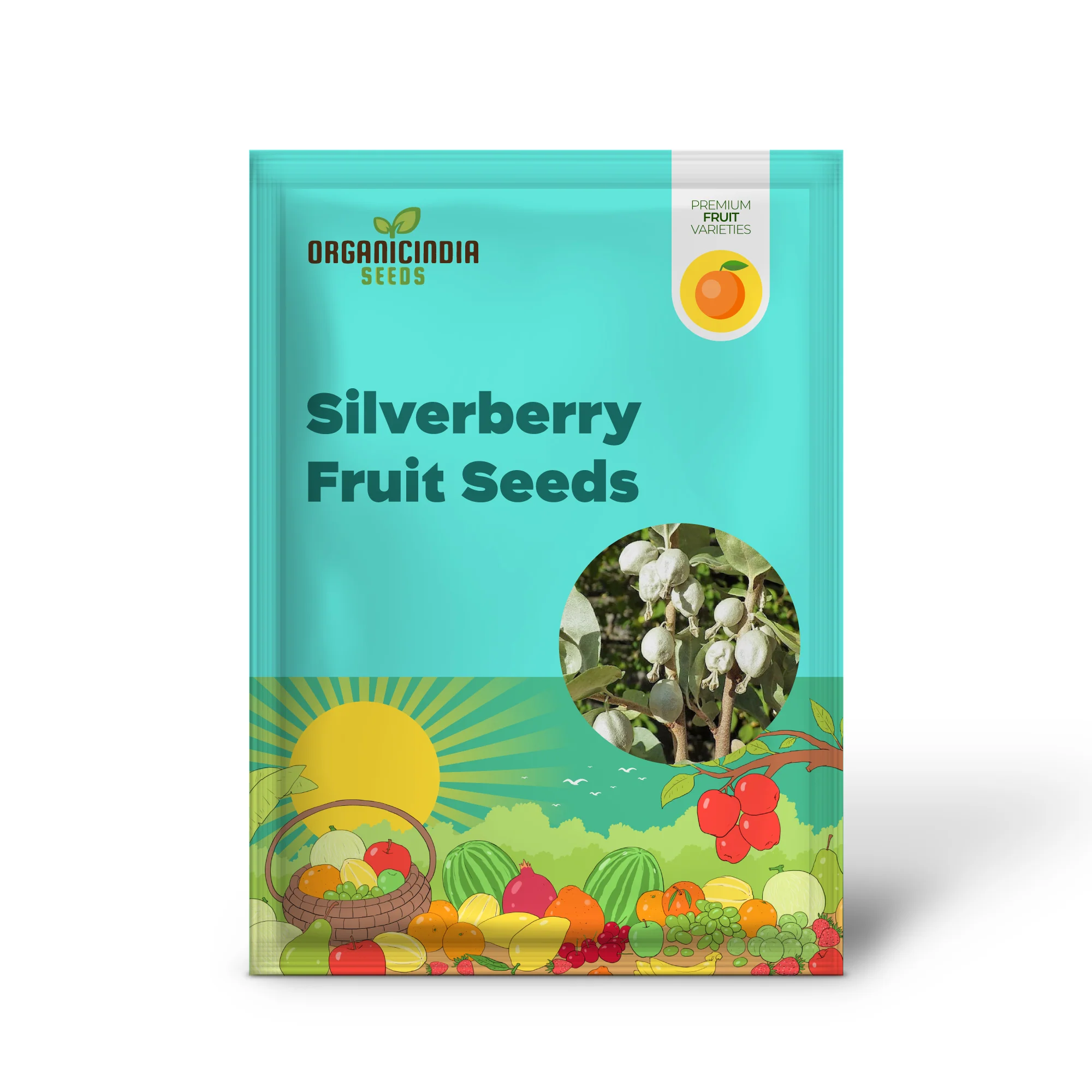 American Silverberry Fruit Seeds - Image 2
