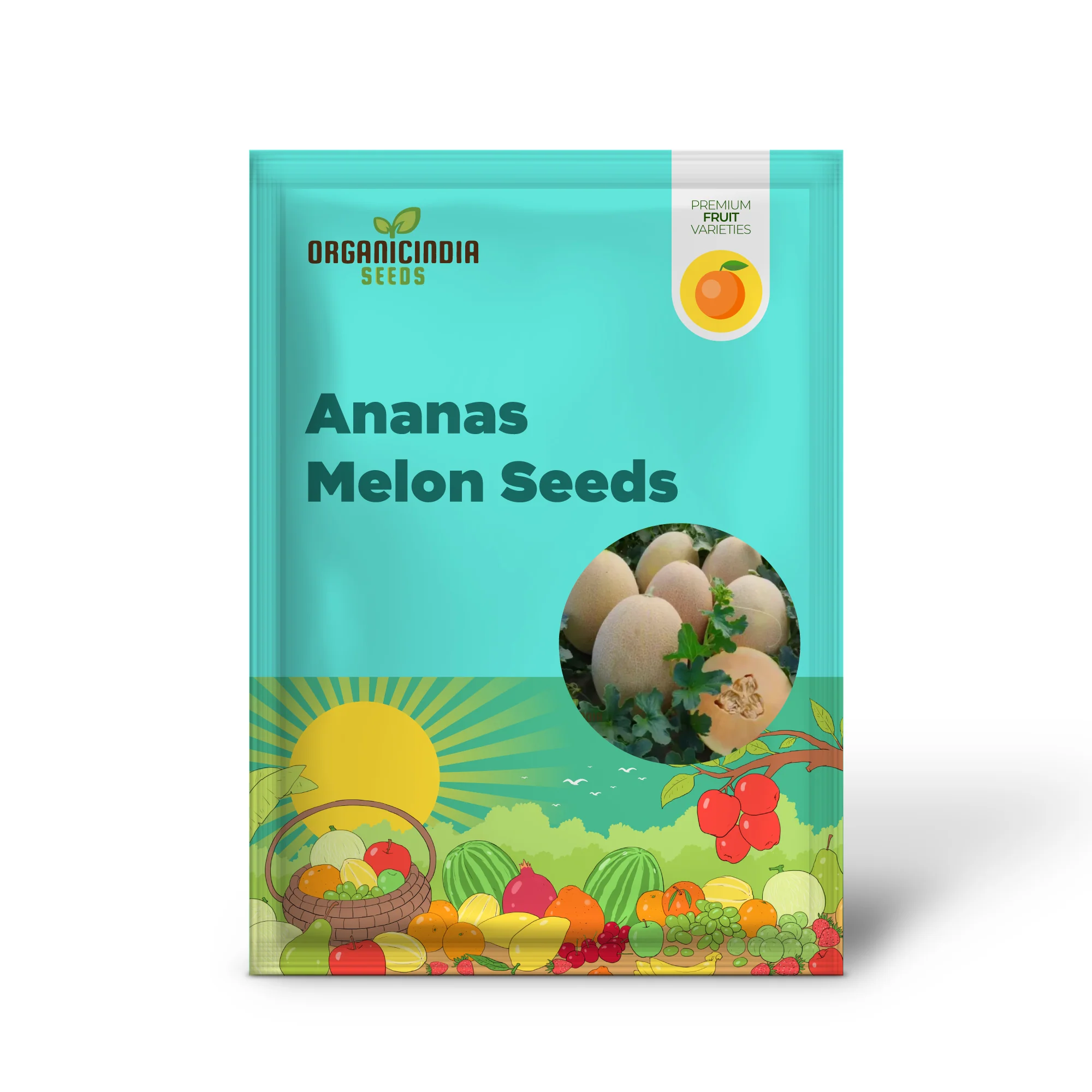 Ananas Melon Seeds for Planting - High-Quality Seeds for Your Garden - Image 2