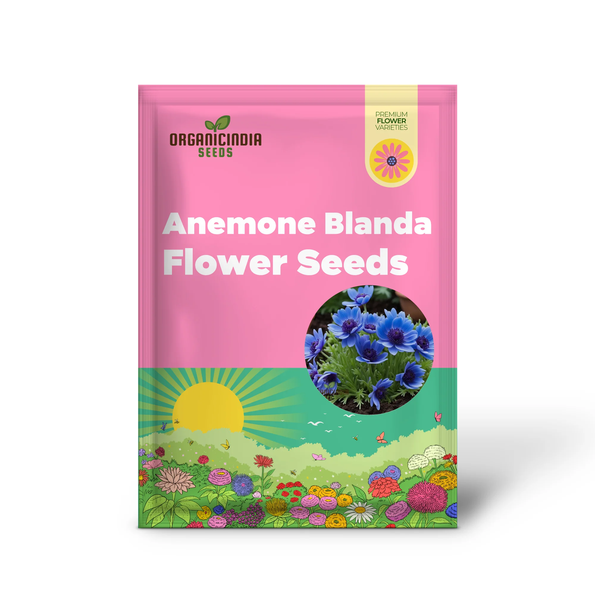 Anemone Blanda Blue Seeds – Stunning Blue Blooms for Garden Planting - Image 2