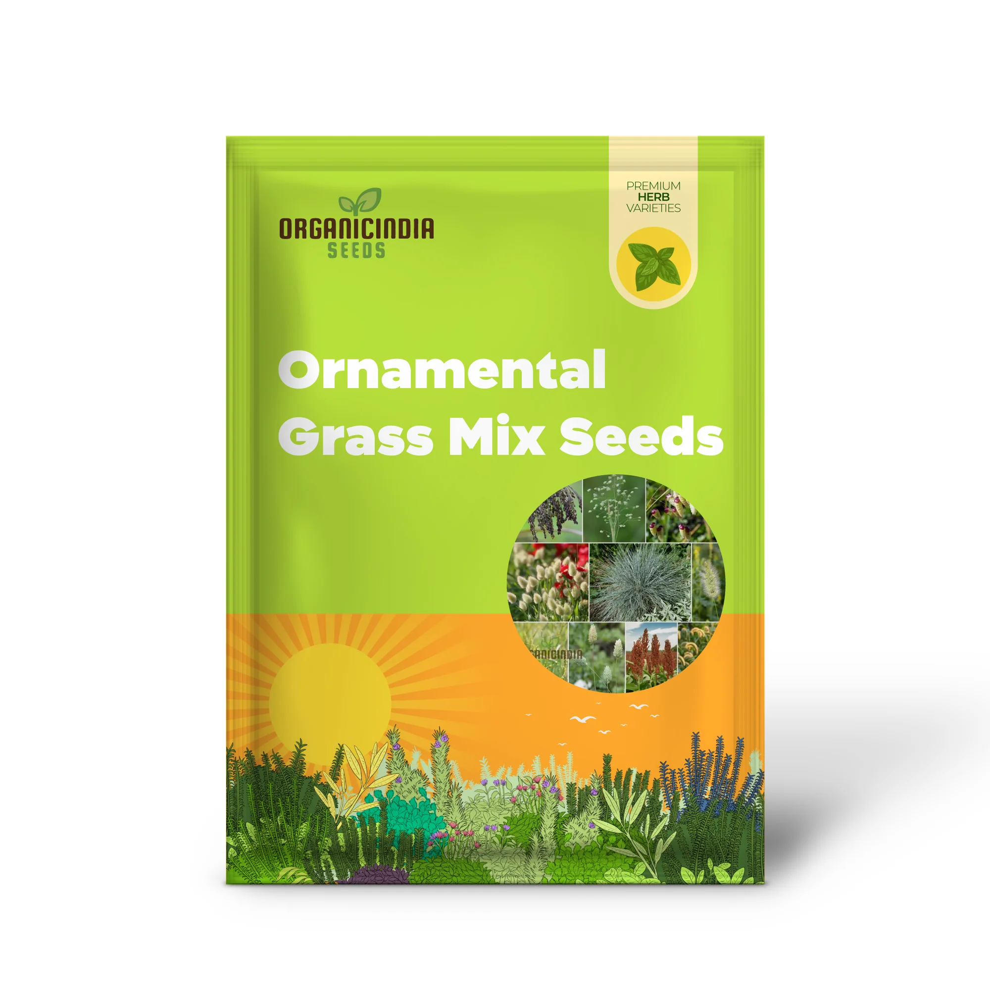 Annual Ornamental Grass Mix Seeds – Easy-to-Grow Vibrant Garden Grasses for Landscaping & Borders - Image 2