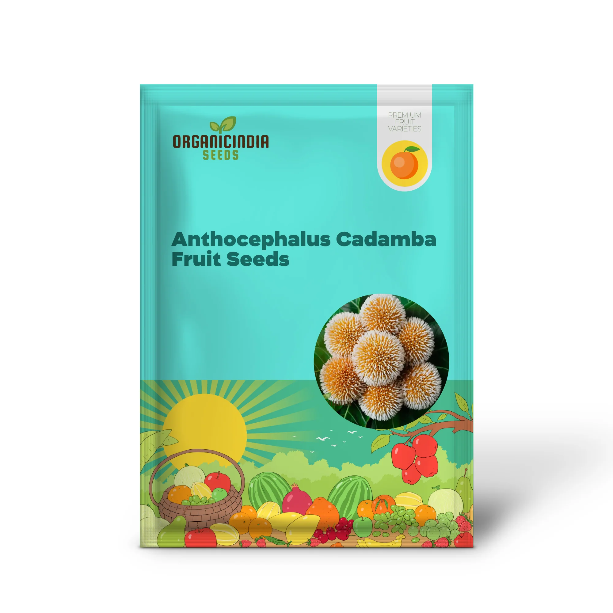 Anthocephalus Cadamba Seeds, Enhance Your Garden with Expert Planting and Gardening Tips for Abundant Fruits and Lush Greenery - Image 2