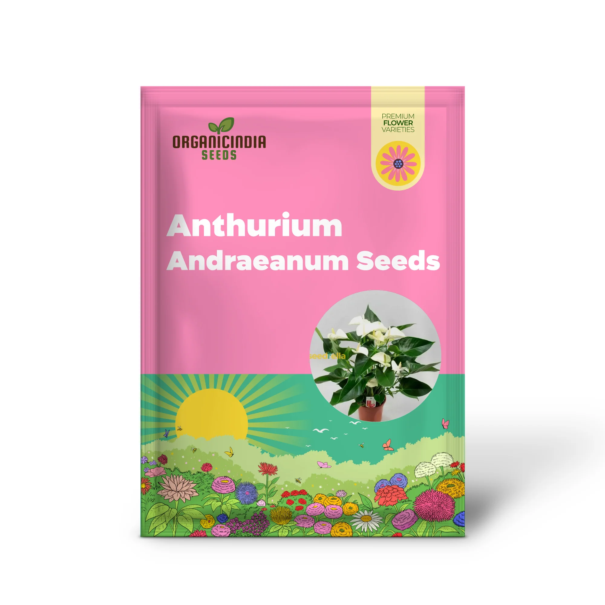 Anthurium Andraeanum White Seeds – Premium Indoor & Garden Planting Variety - Image 2