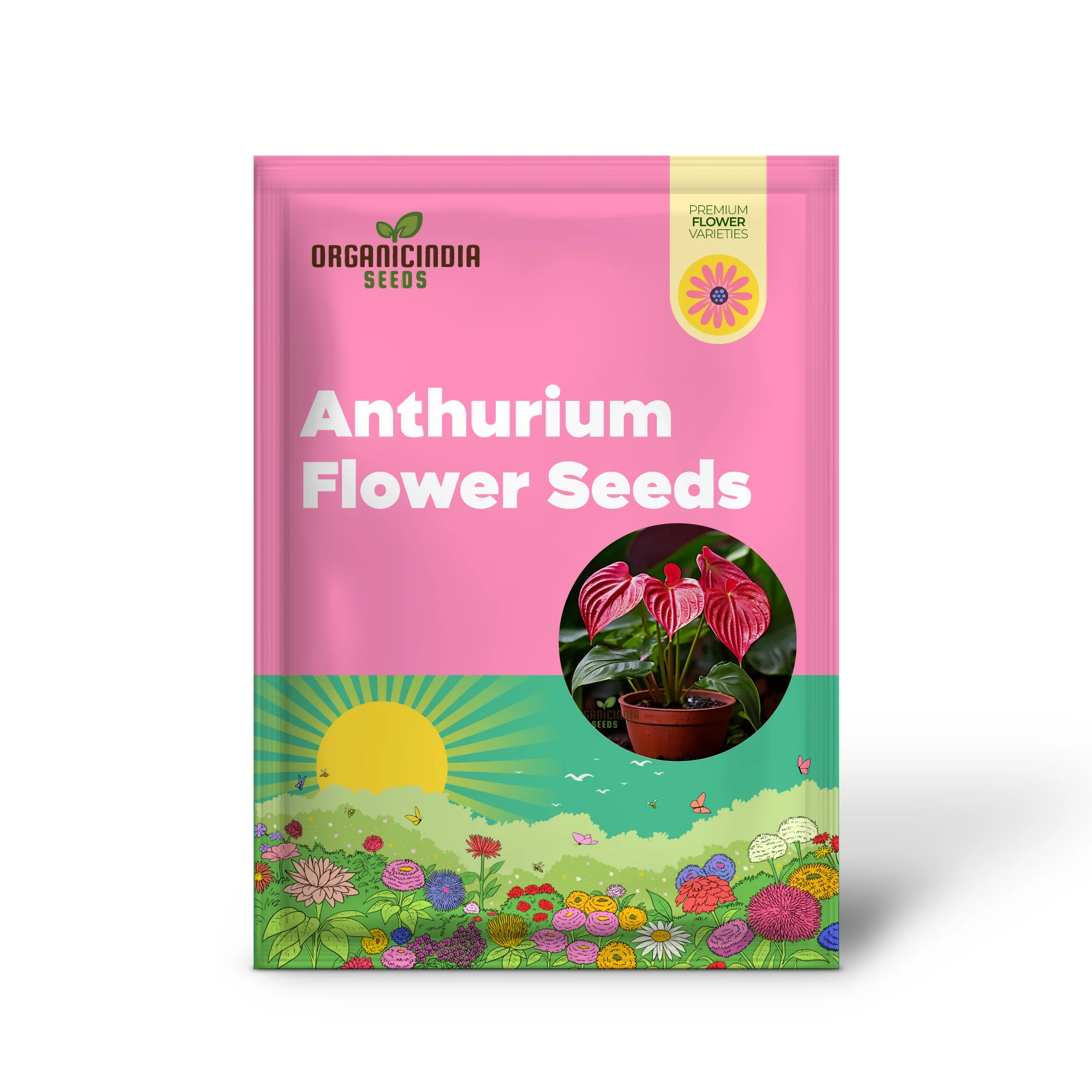Anthurium Andreanna Flower Seeds, Mixed Fresh Varieties for Planting and Gardening - Cultivate Stunning Anthurium Blooms in Your Garden - Image 2
