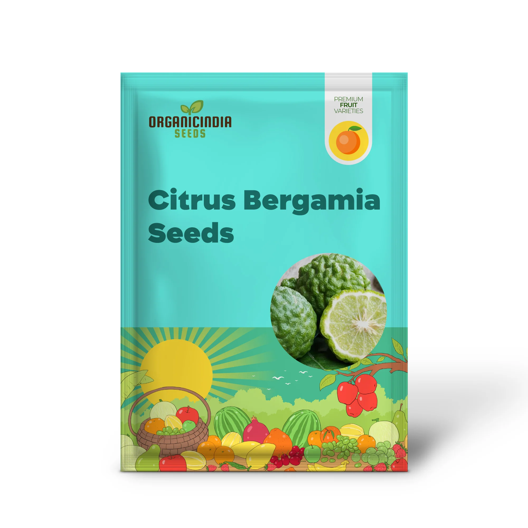 Bergamot Orange Seeds - Citrus Bergamia, Perennial Evergreen Edible And Ornamental Bonsai Outdoor Patio Fruit Tree Seeds - Image 2