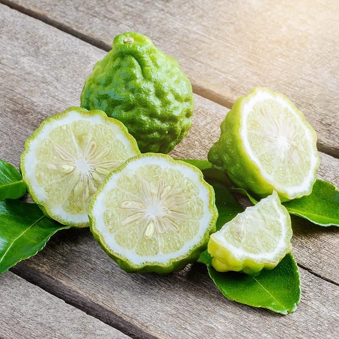 Bergamot Orange Seeds - Citrus Bergamia, Perennial Evergreen Edible And Ornamental Bonsai Outdoor Patio Fruit Tree Seeds - Image 6