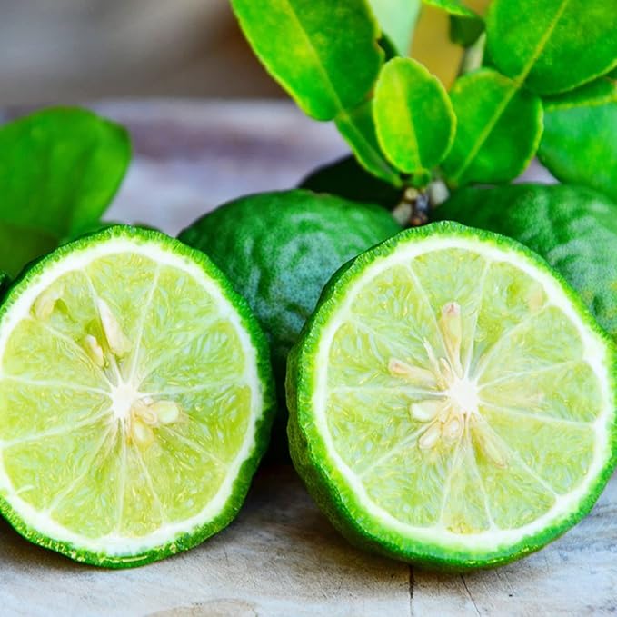 Bergamot Orange Seeds - Citrus Bergamia, Perennial Evergreen Edible And Ornamental Bonsai Outdoor Patio Fruit Tree Seeds - Image 7