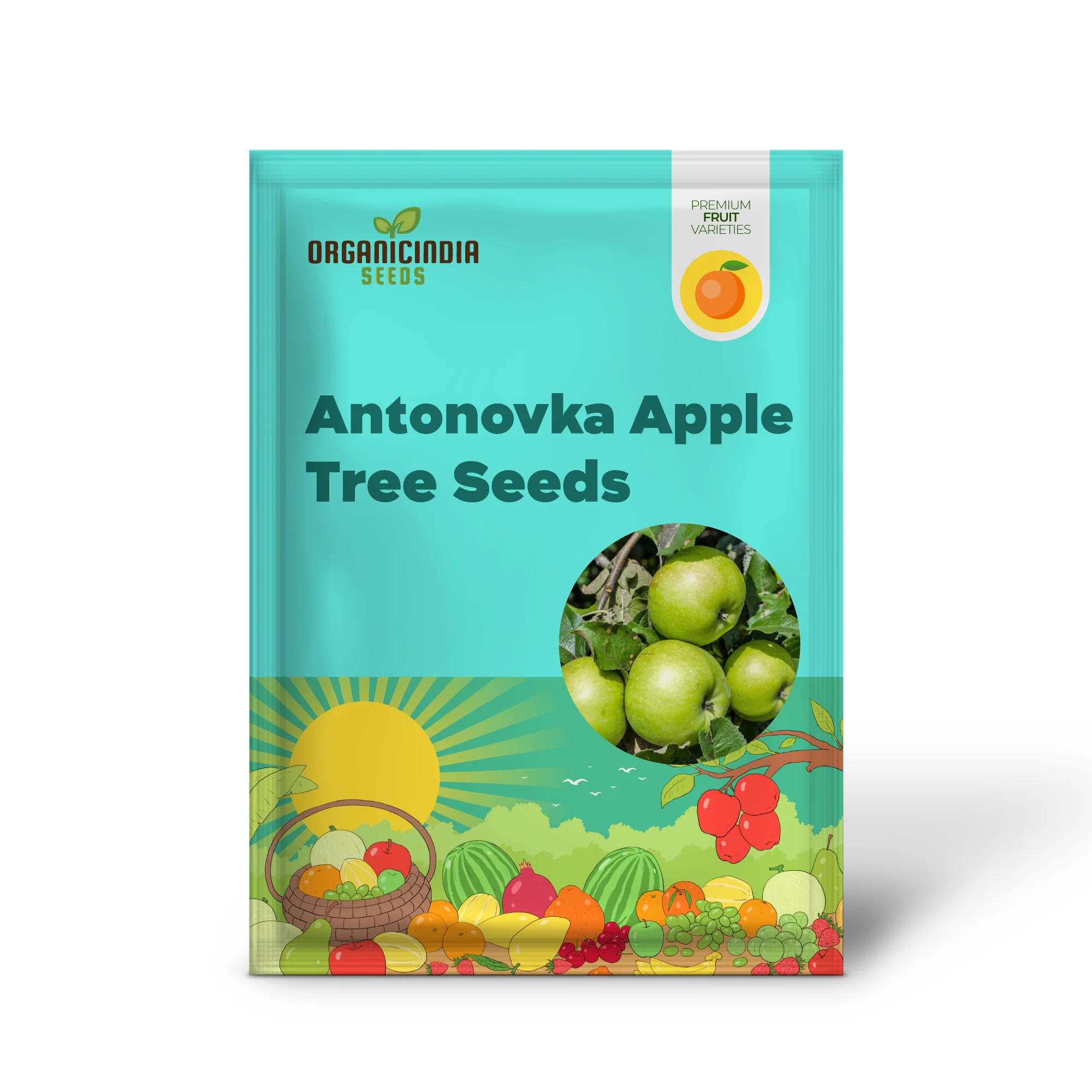 Antonovka Apple Tree Seeds - Image 2