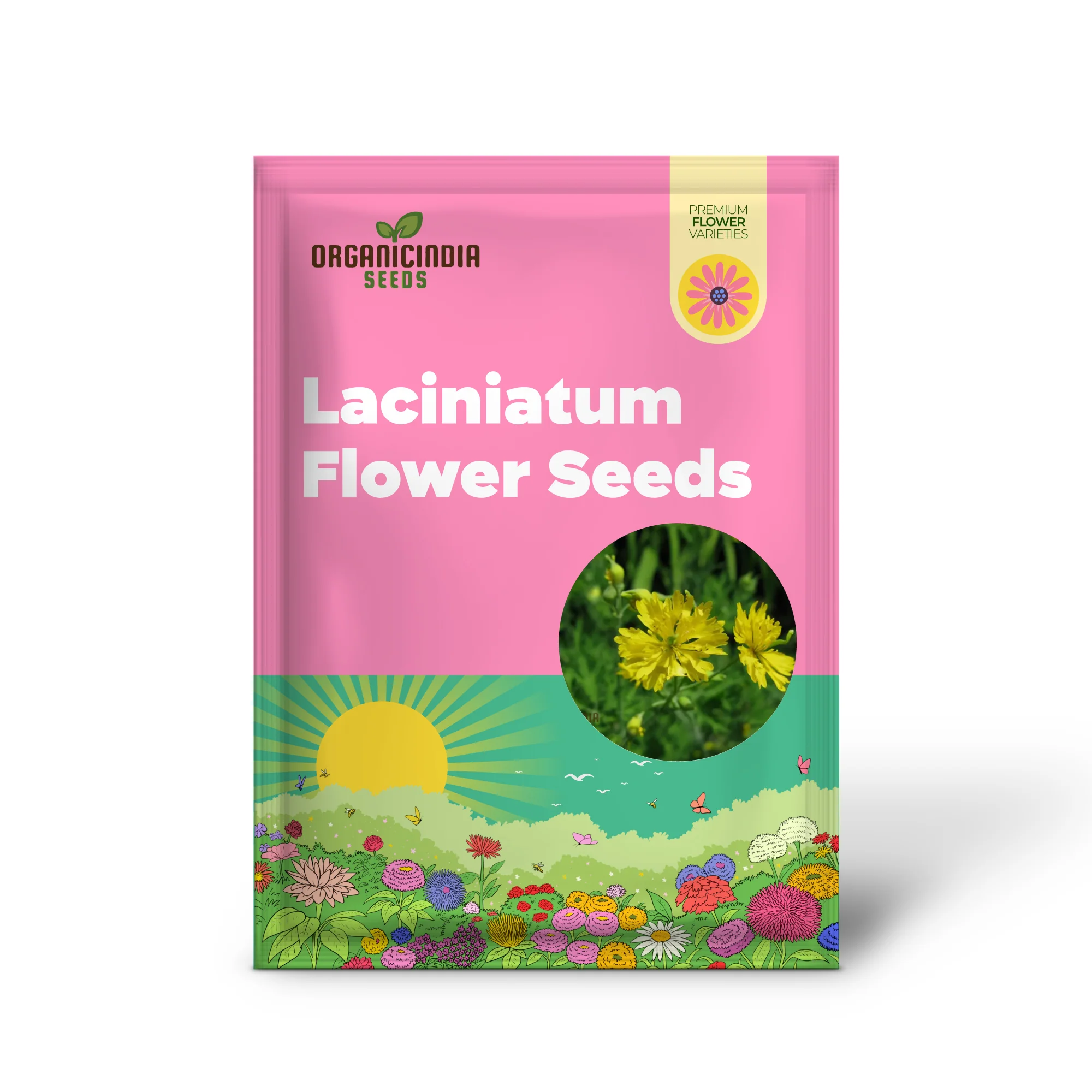 Apollo Chelidonium Majus 'Laciniatum' Flower Seeds for Planting, Premium Variety for Garden - Image 2