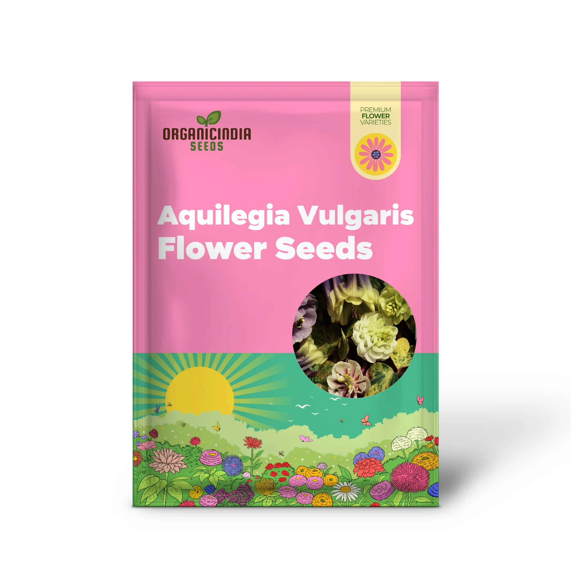 Aquilegia Vulgaris 'Alchemist's Gold' Seeds - Exquisite Gardening Perennials for Beautiful Blooms - Image 2