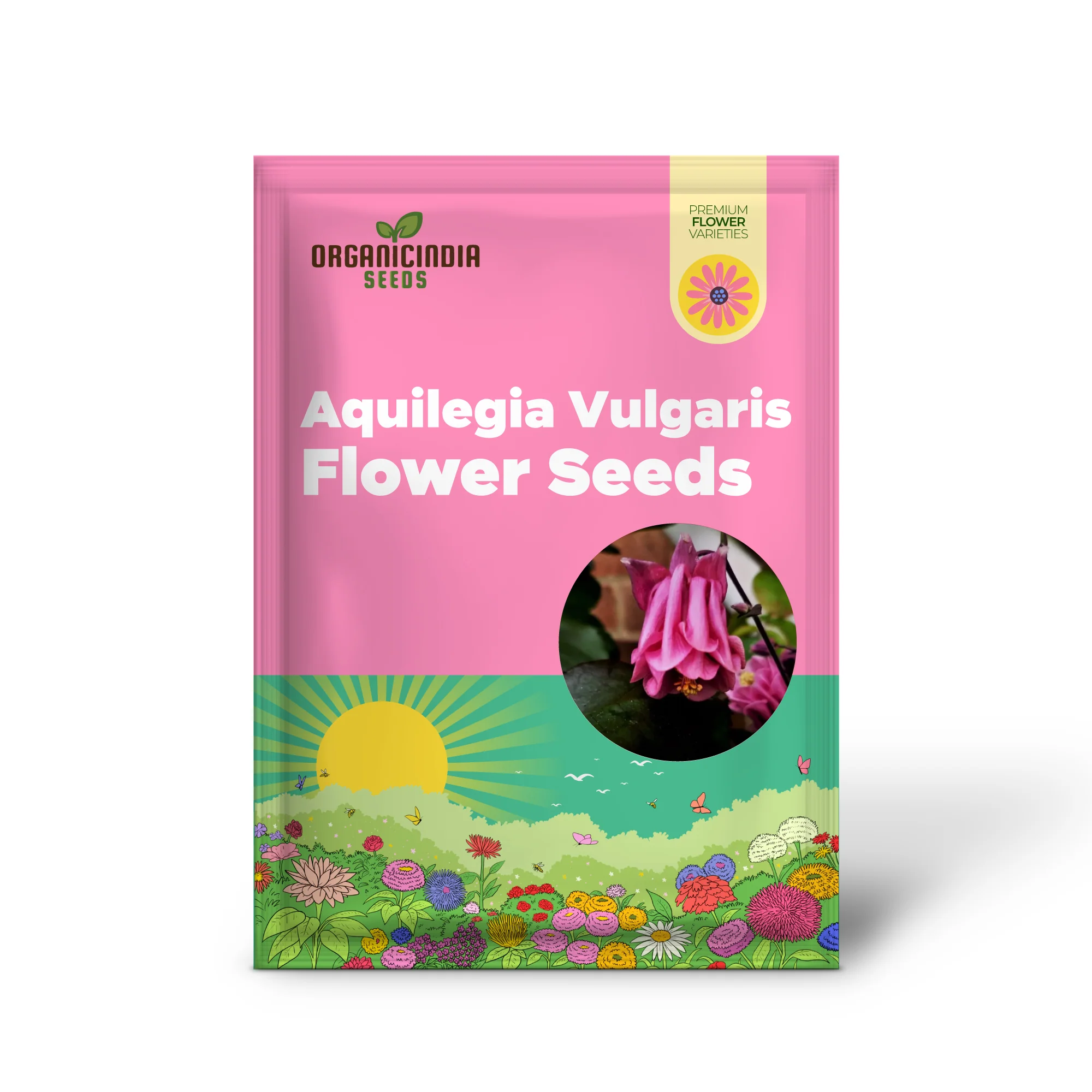 Aquilegia Vulgaris 'Burnished Rose' Seeds for Gardening - Premium Quality Seeds for Beautiful Blooms, Ideal for Home Gardening Enthusiasts - Image 2