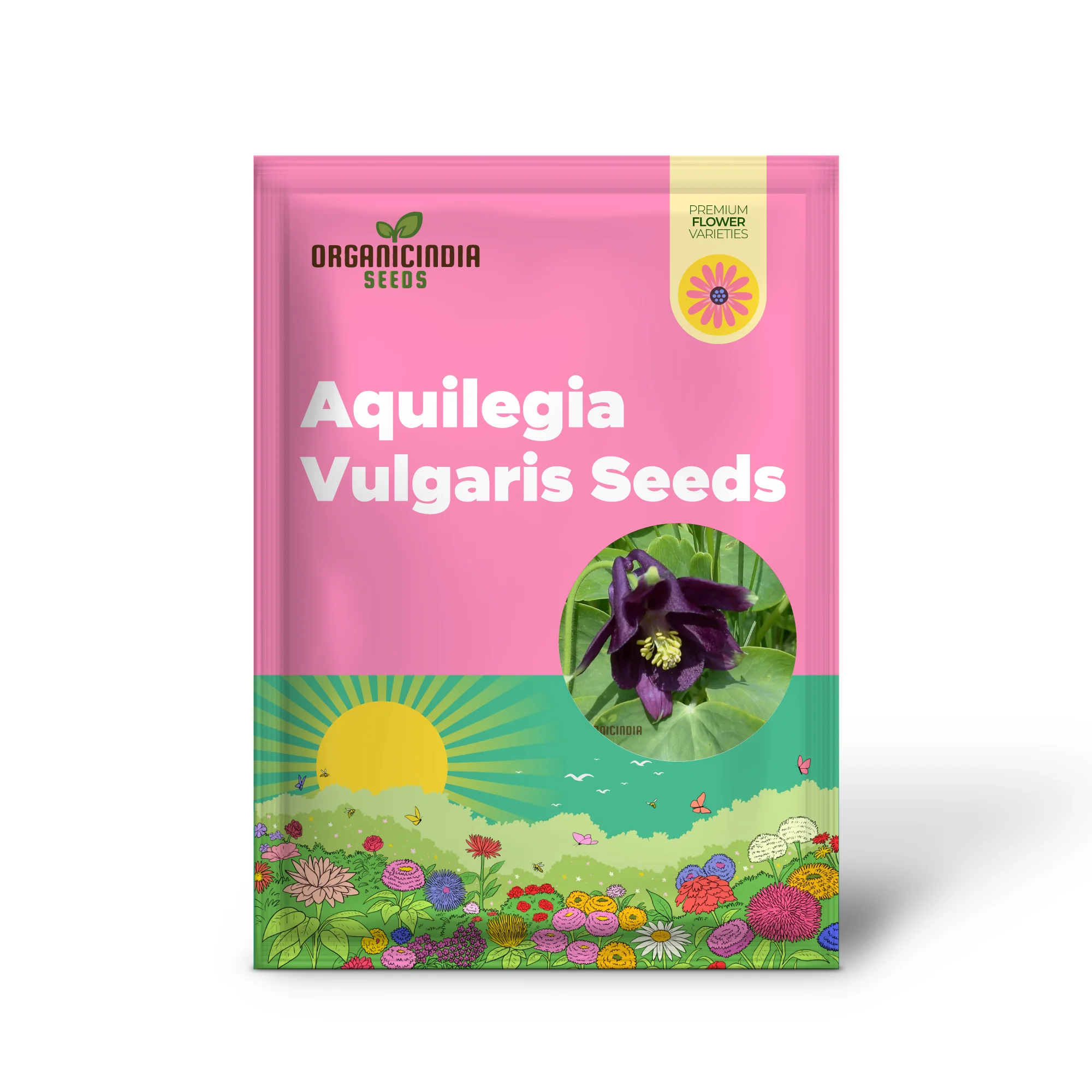 Aquilegia Vulgaris 'Kurdistanica' Seeds - Perfect for Gardening Enthusiasts - Stunning Lengthy Blooms - Image 2
