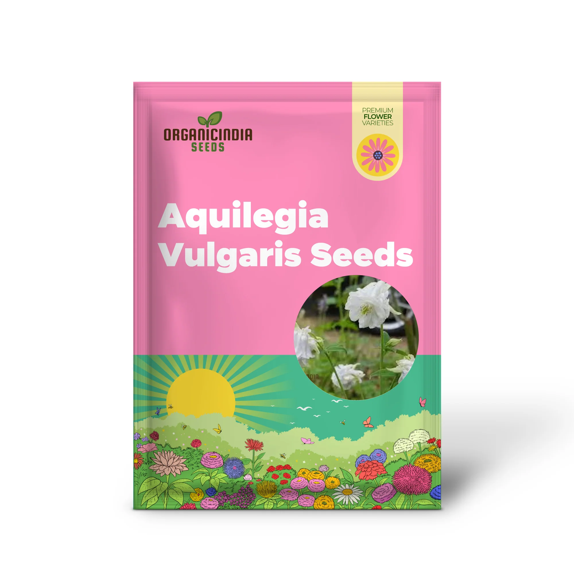 Aquilegia Vulgaris 'Snowballs' Seeds - Premium Gardening Perennials for Beautiful White Flowers - Image 2