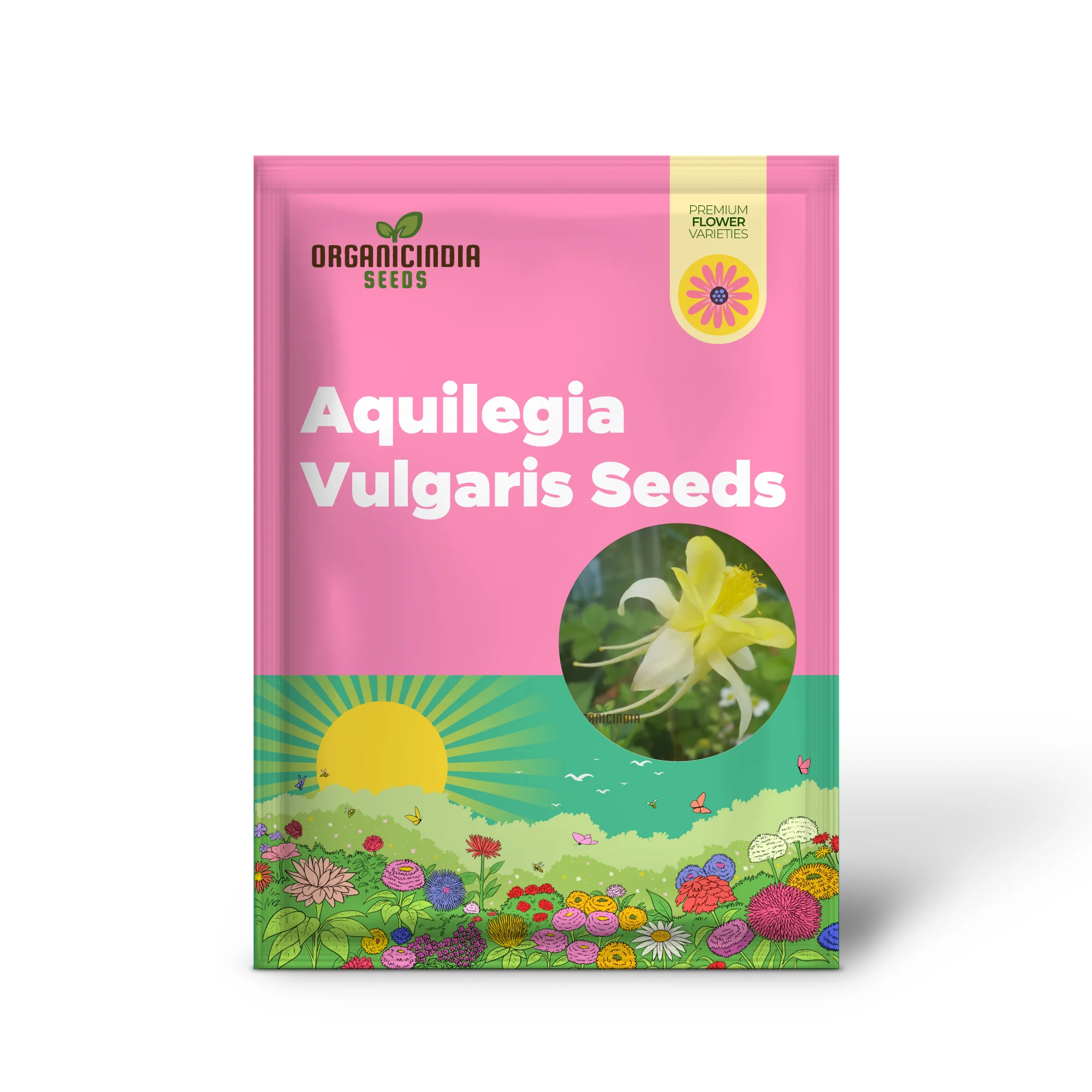 Aquilegia Vulgaris 'Sunbeams' Seeds - Premium Gardening Aquilegia, Beautiful Perennial Flowers for Your Garden - Image 2