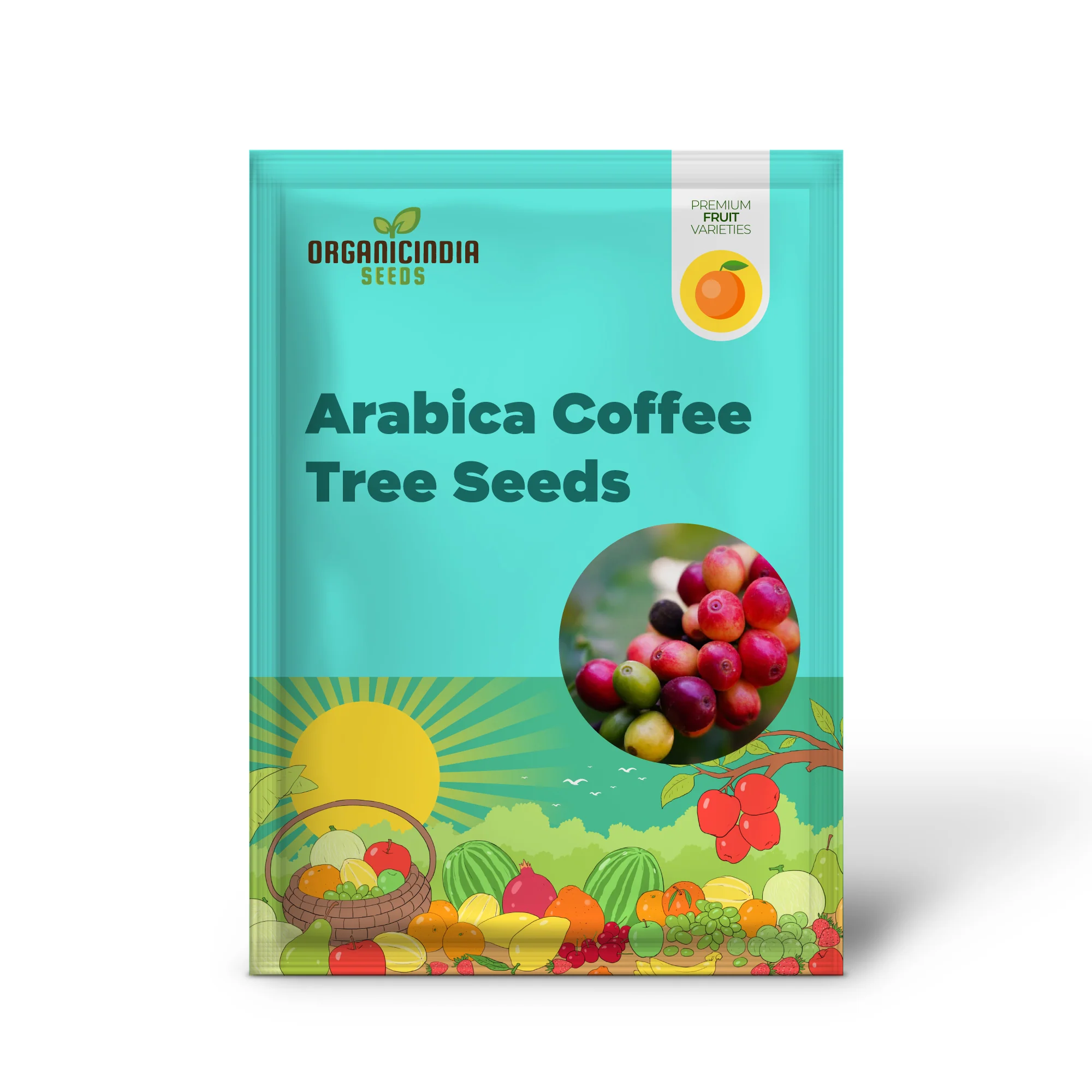 Arabica Coffee Tree (Coffea arabica) – Seeds - Image 2