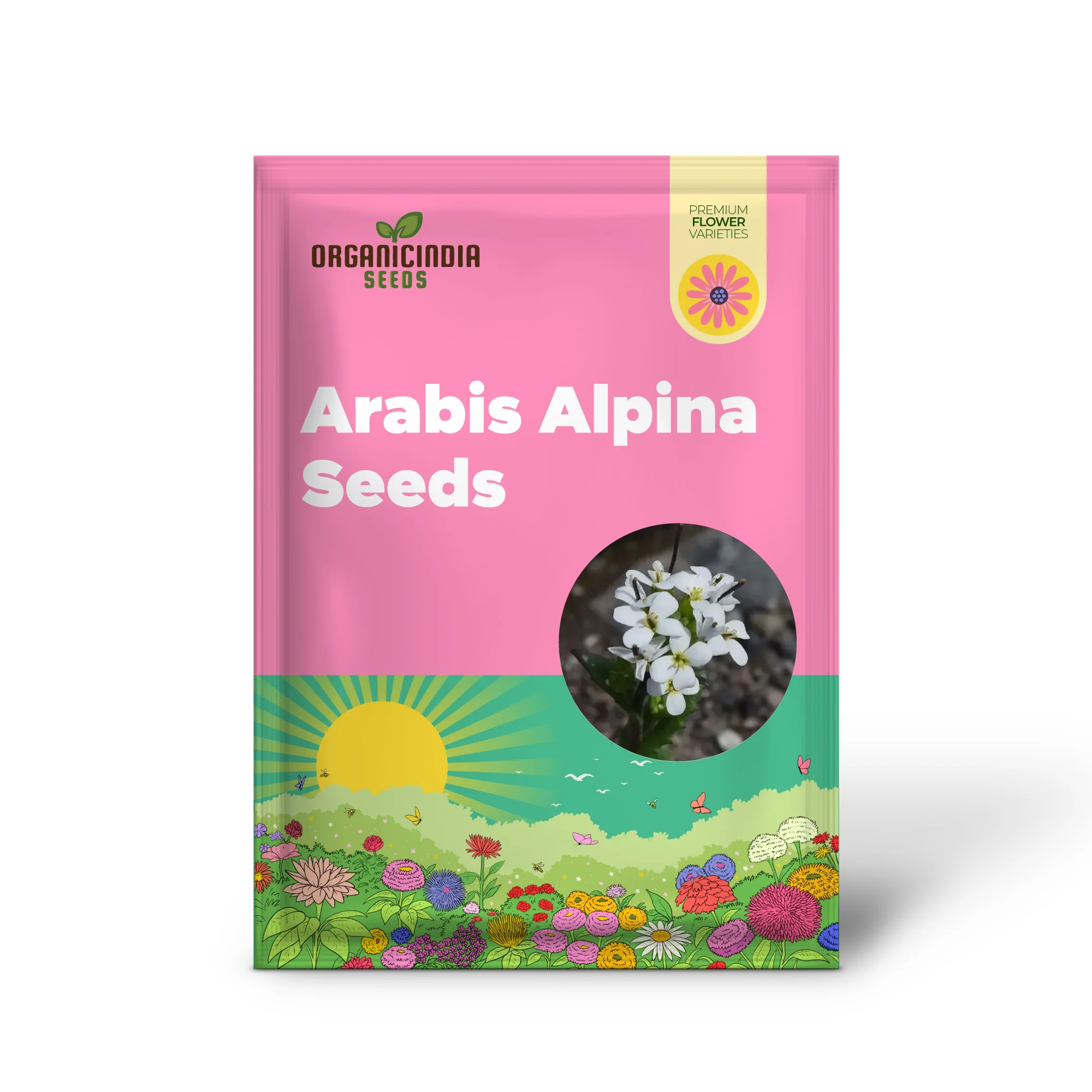 Arabis Alpina Seeds - Alpine Rock Cress Perennial Flower for Gardening and Landscaping - Image 2