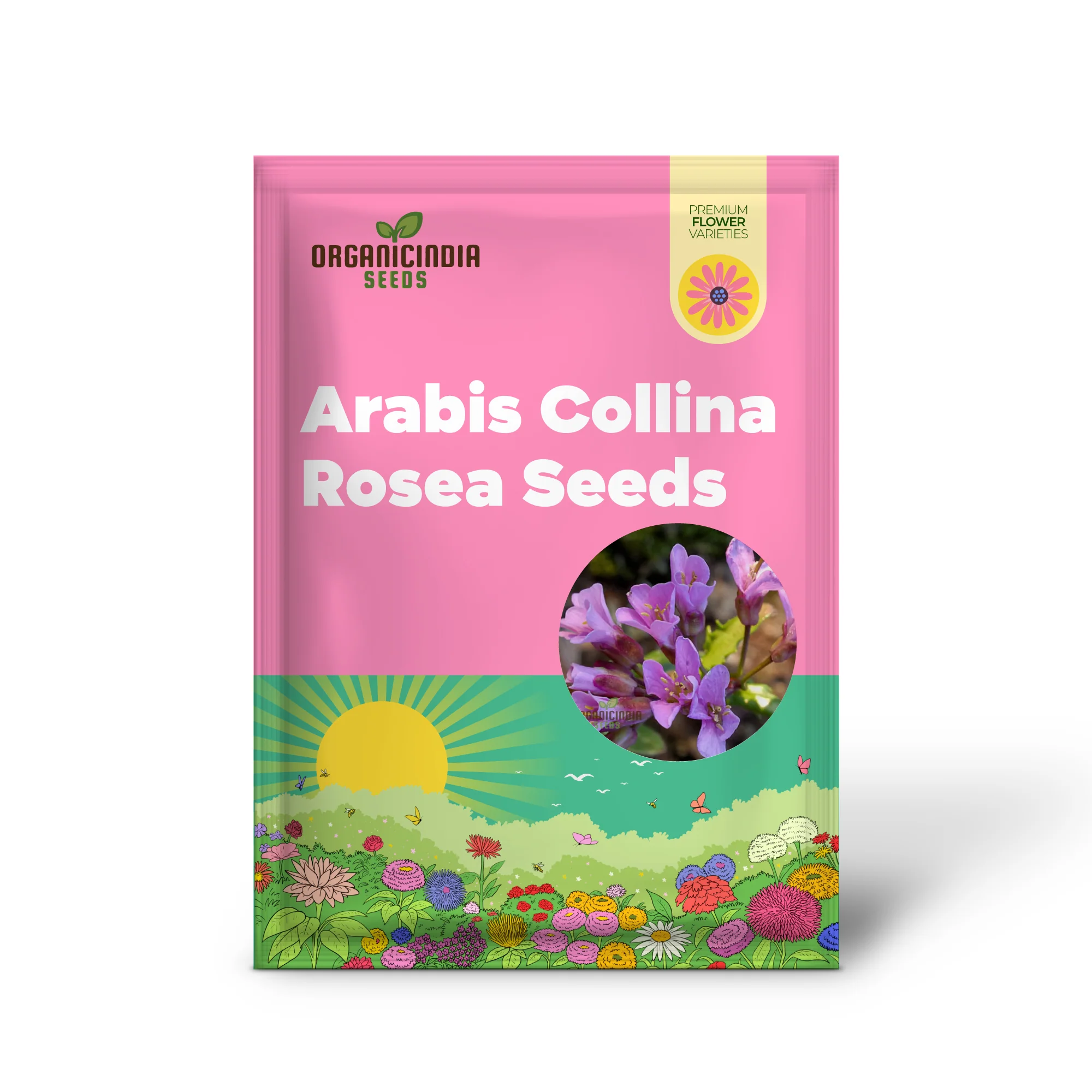 Arabis Collina Rosea Seeds For Planting: The Perfect Perennial Groundcover for Vibrant Spring Blooms - Image 2