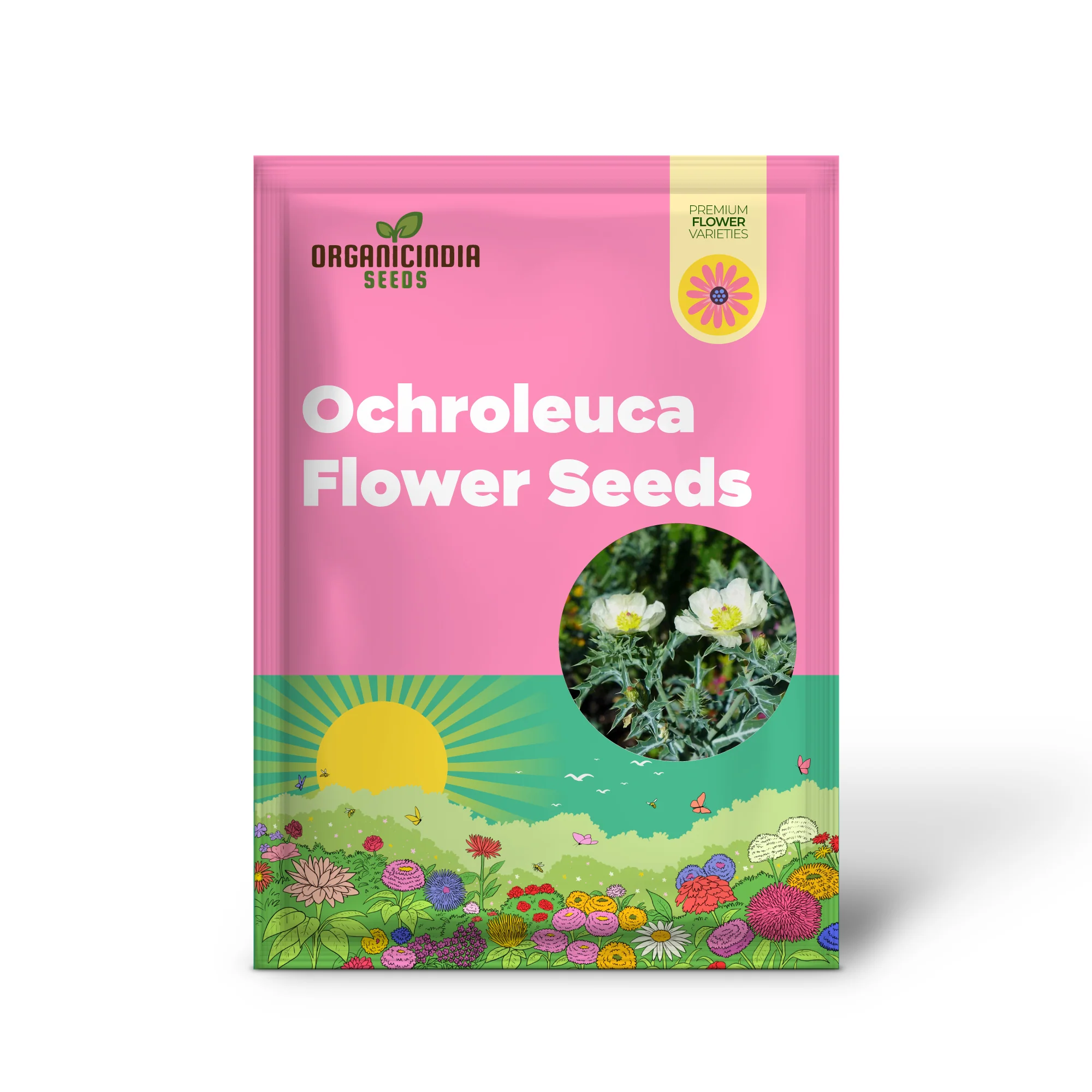 Argemone Ochroleuca Seeds – Yellow Prickly Poppy Variety for Striking Garden Displays - Image 3