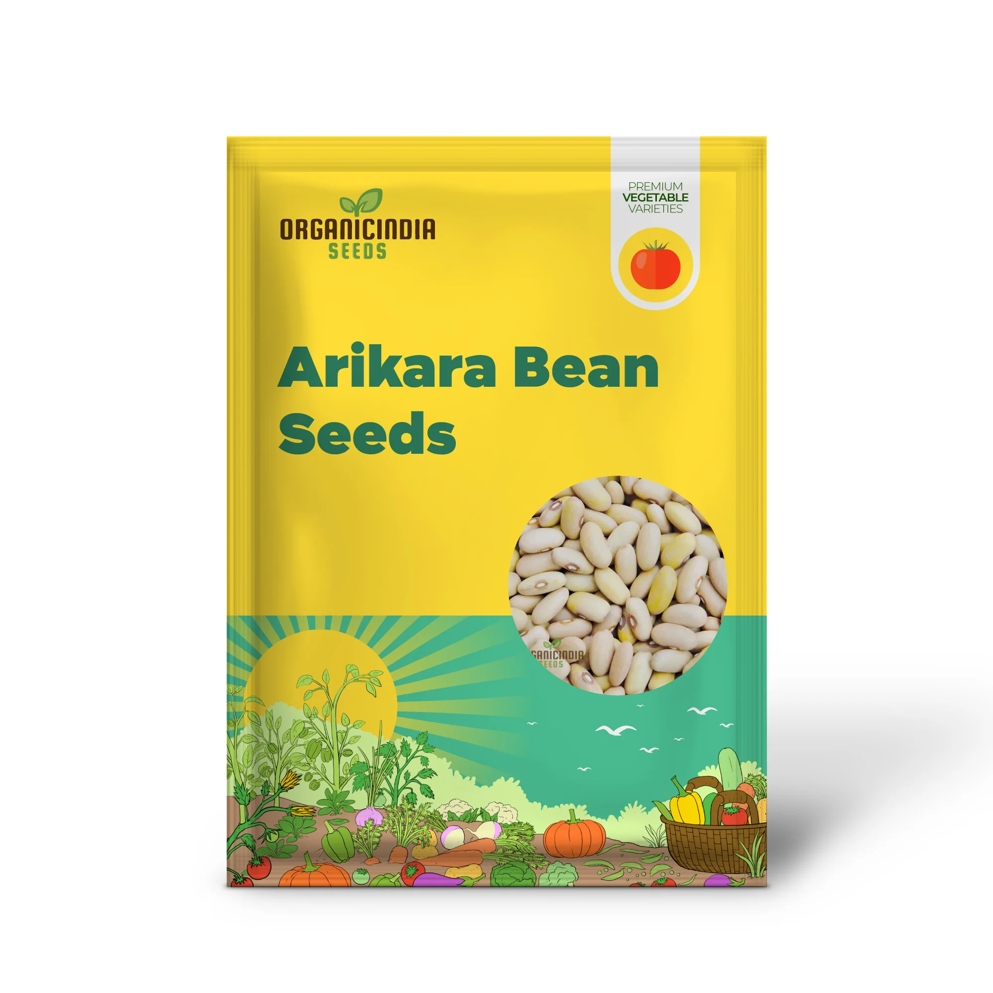 Arikara Yellow Bean Seeds For Planting - Heirloom Gardening Delight for Abundant Harvests" - Image 2