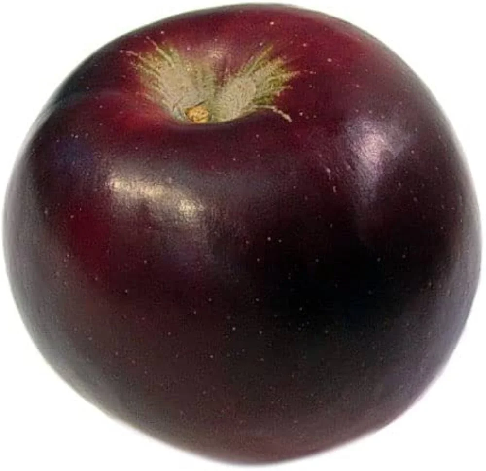 Arkansas Black Apple Seeds for Planting – Crisp, Sweet & Long-Storing Apple Trees - Image 3