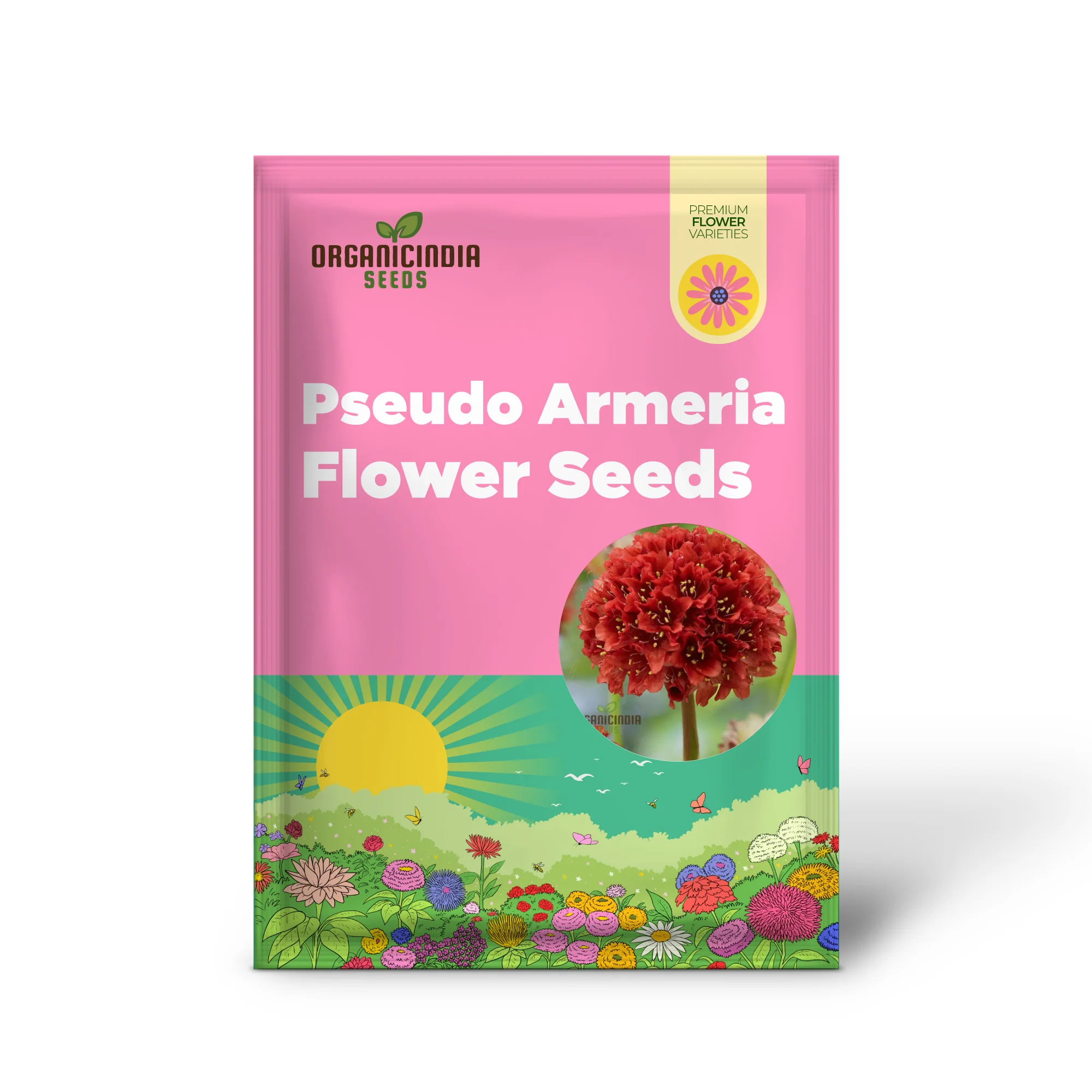 Armeria Seeds (Ballerina Red Armeria Seeds) - Vibrant Blooms and Hardy Perennial for Colorful Displays - Image 2