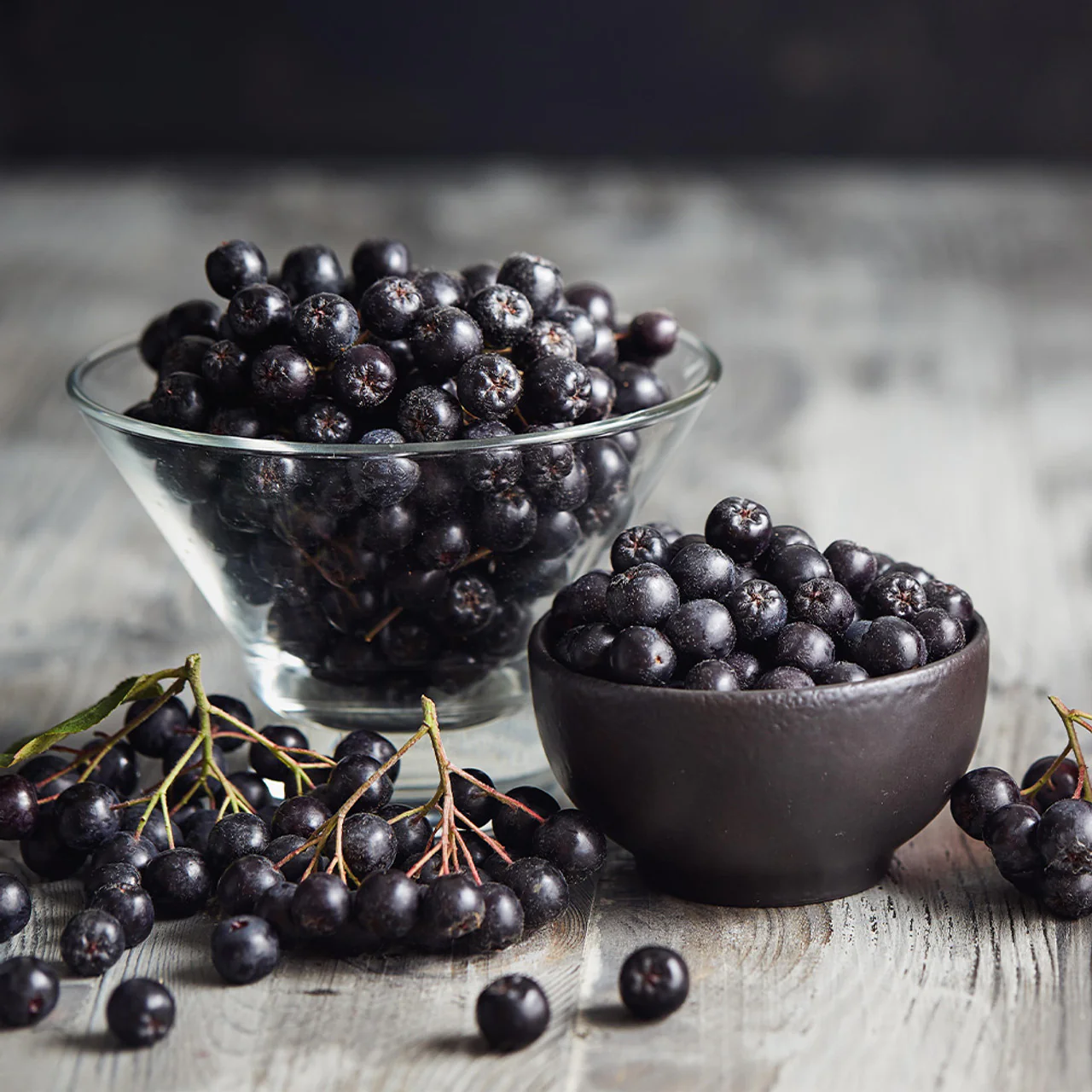 Aronia Berry (Aronia melanocarpa / Black Chokeberry) – Seeds