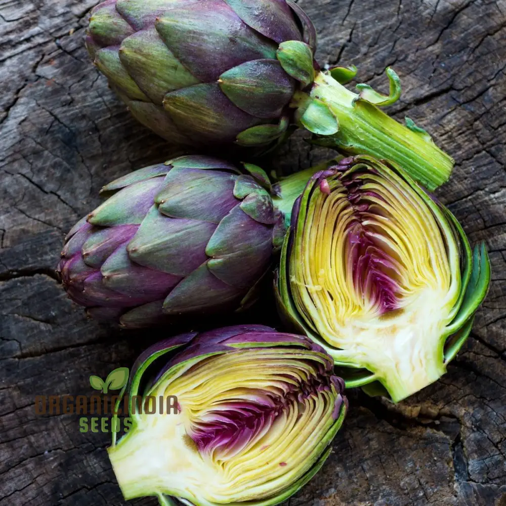 Artichoke Seeds - Purple Headed Seeds For Planting, Cultivate Eye-Catching Purple Artichokes - Image 4