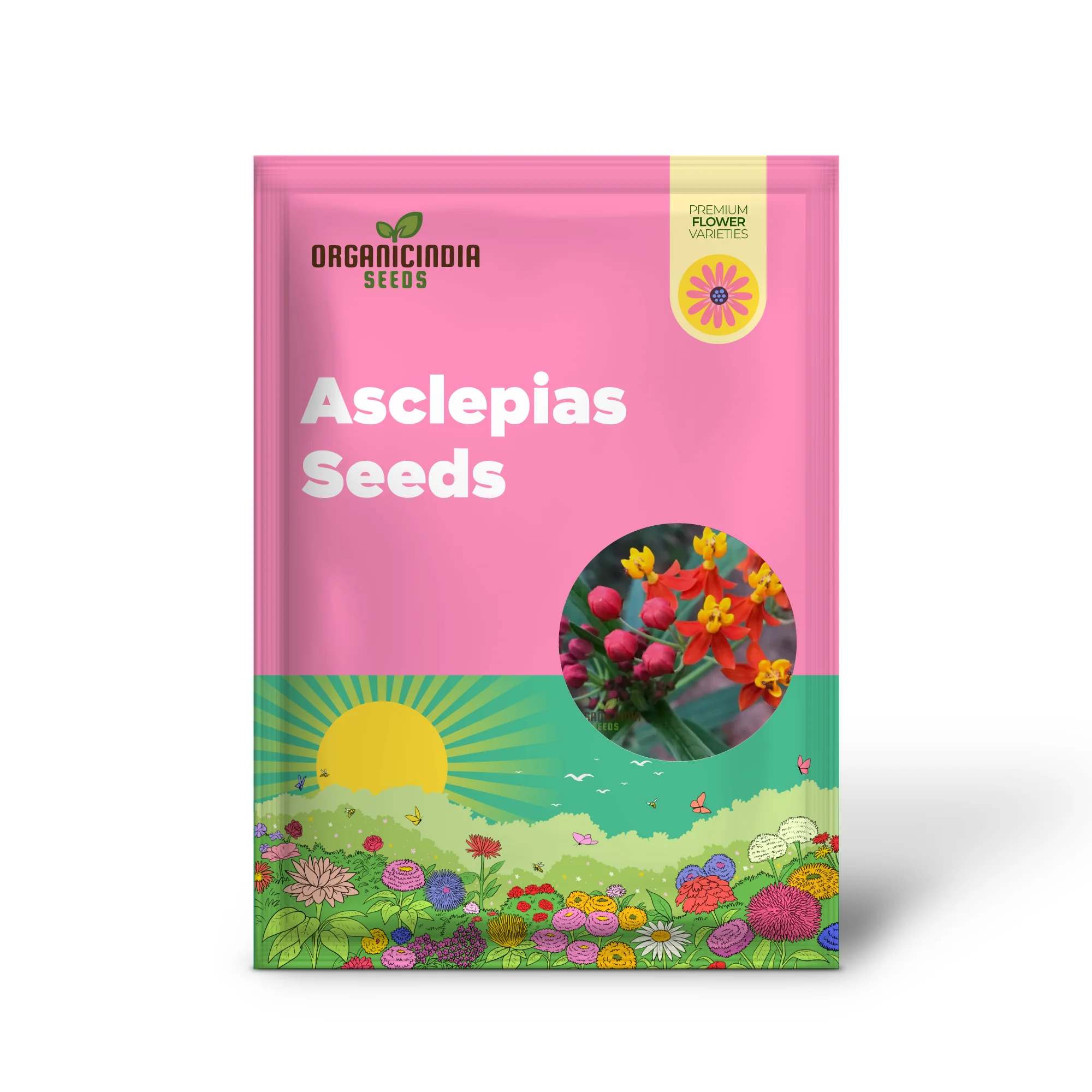Asclepias Seeds (Milkweed Flower Seeds) - Monarch Butterfly Friendly Blooms - Image 2