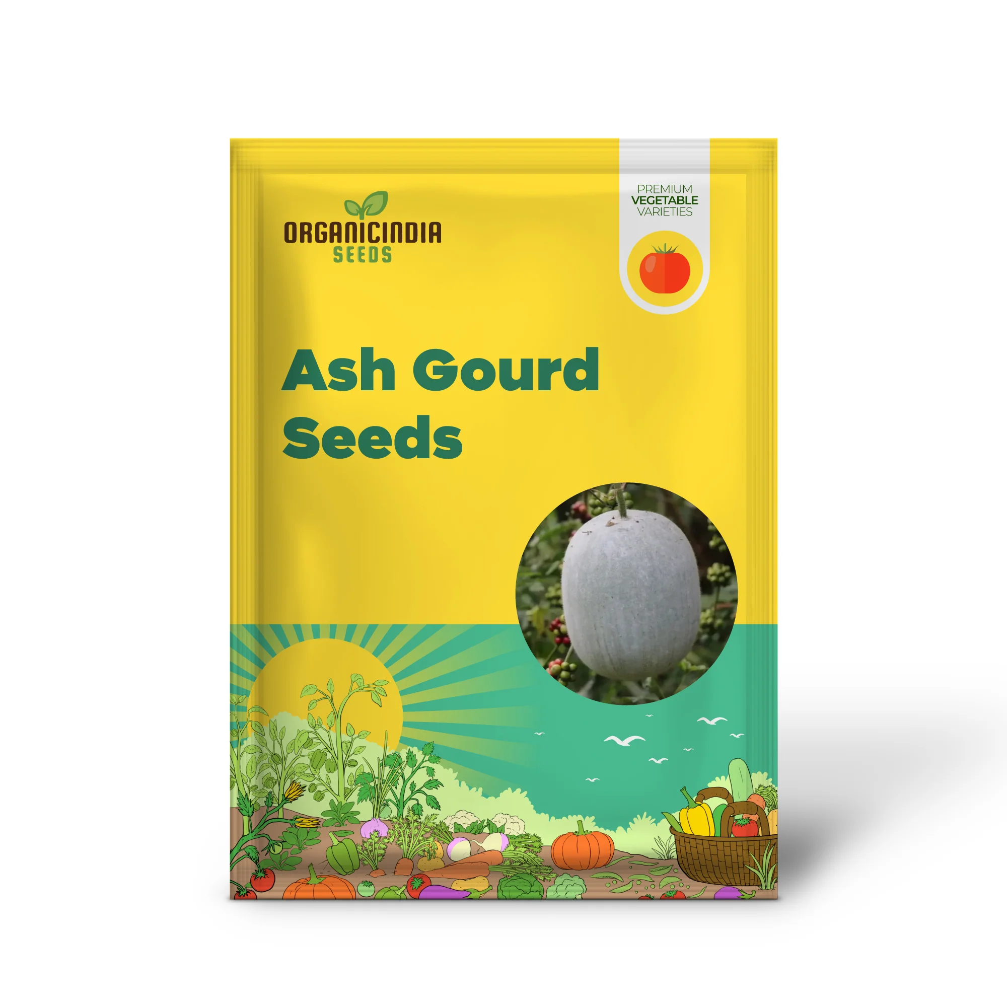 Ash Gourd Seeds for Gardening - High-Quality, Heirloom Seeds for a Bountiful Harvest in Your Home Garden - Image 2