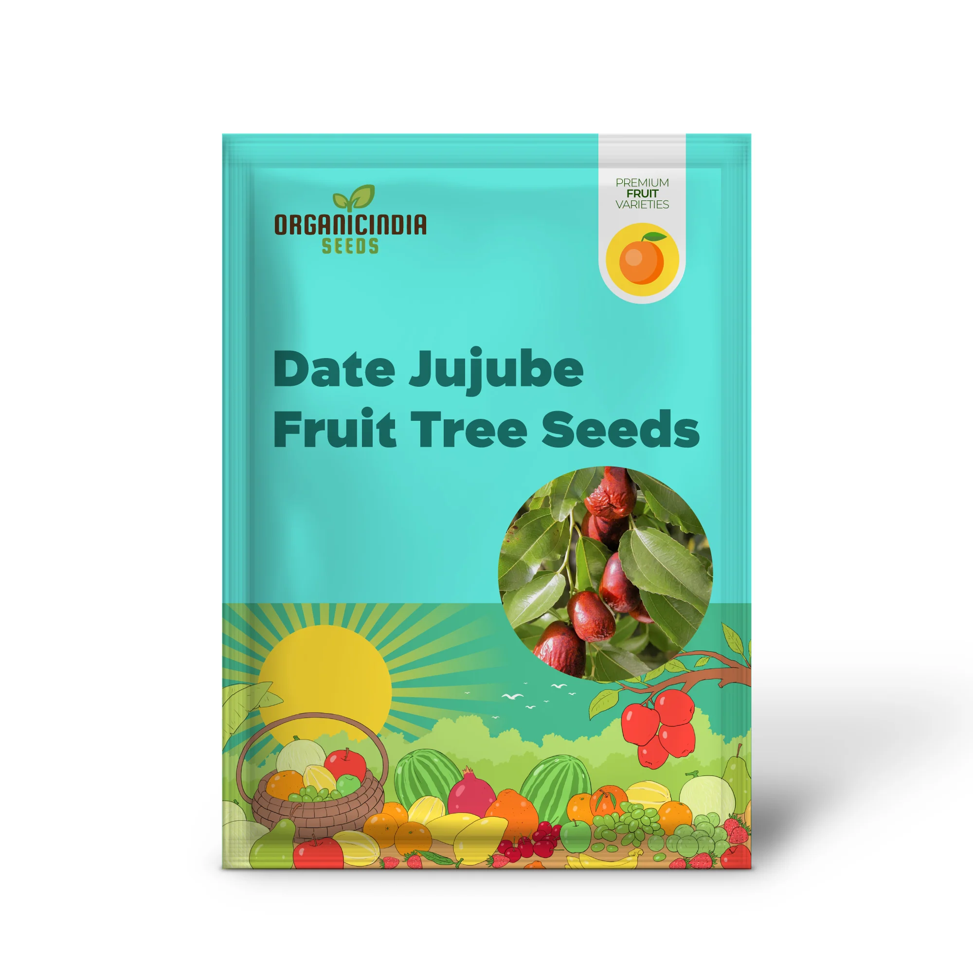 Asian Date Jujube Fruit Tree Seeds - Image 2