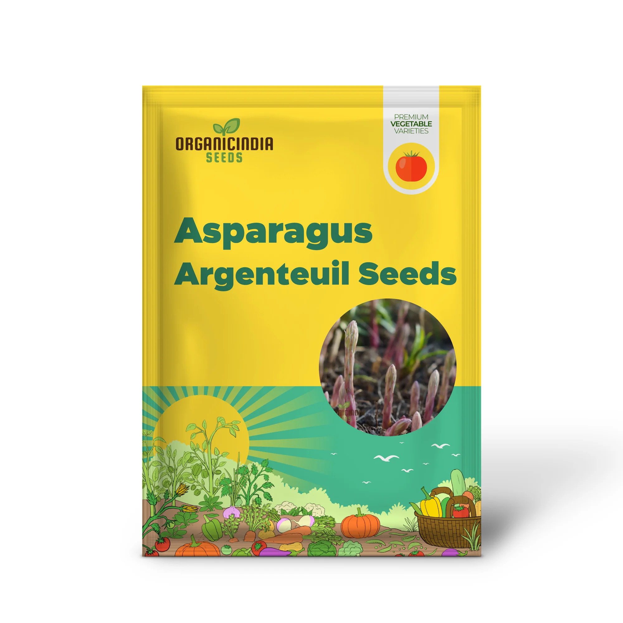 Asparagus - Argenteuil Vegetable Seeds For Planting, Grow Delicious and Tender Asparagus - Image 2