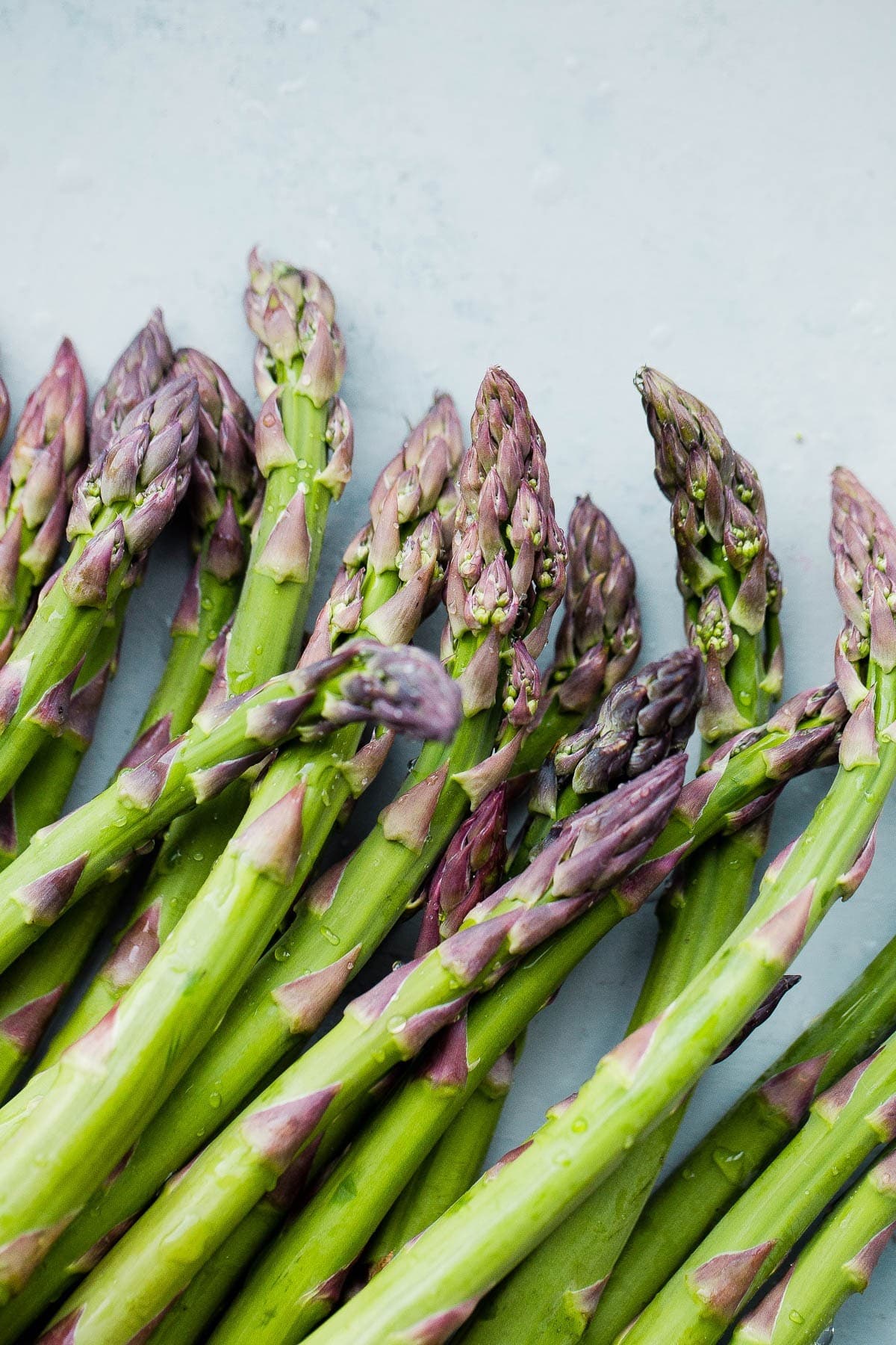 Asparagus Purple Vegetable Seeds For Planting, Grow Unique and Flavorful Purple Asparagus - Image 5