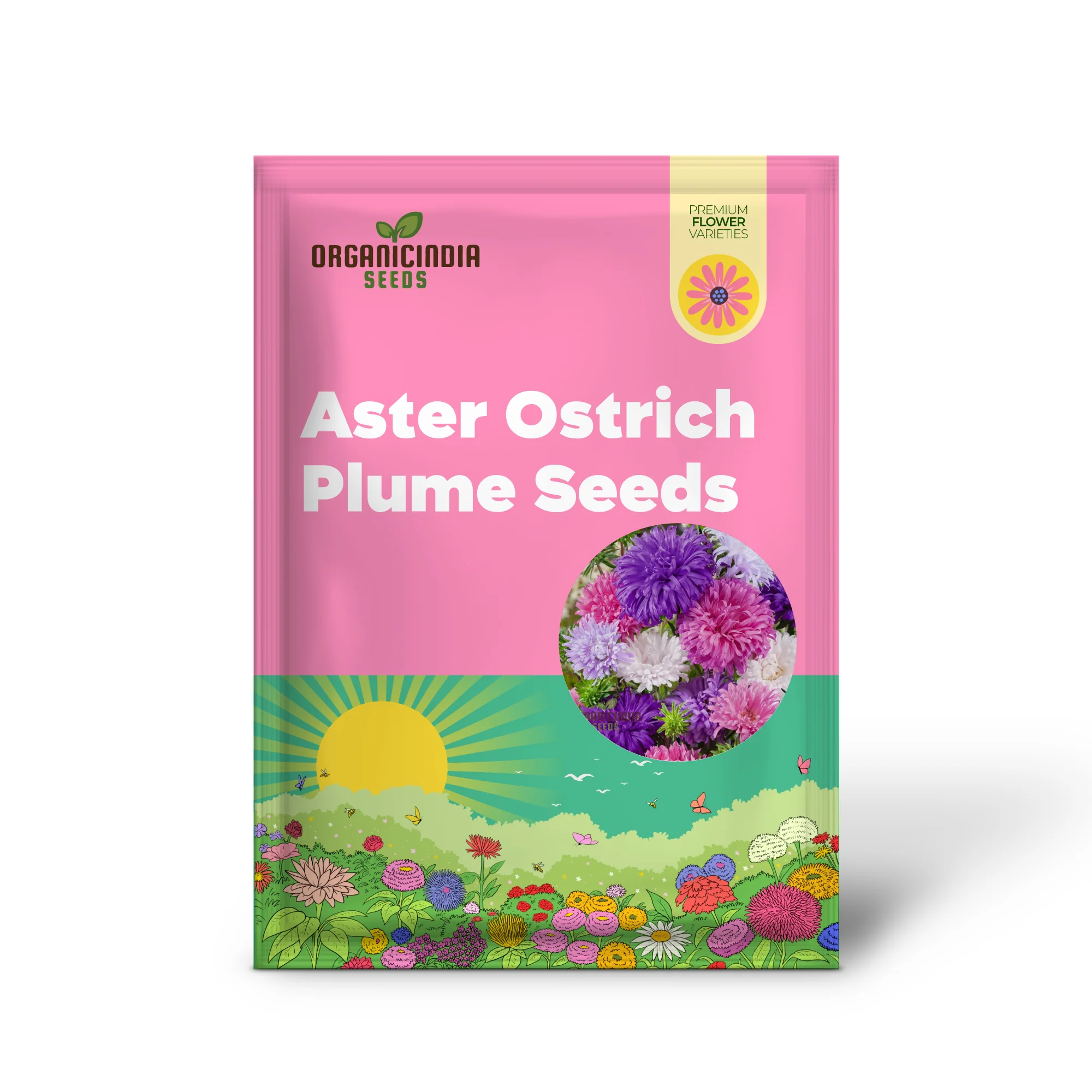 Aster Ostrich Plume Seeds - Cultivate Elegant, Feathery Blooms for Your Garden - Image 2