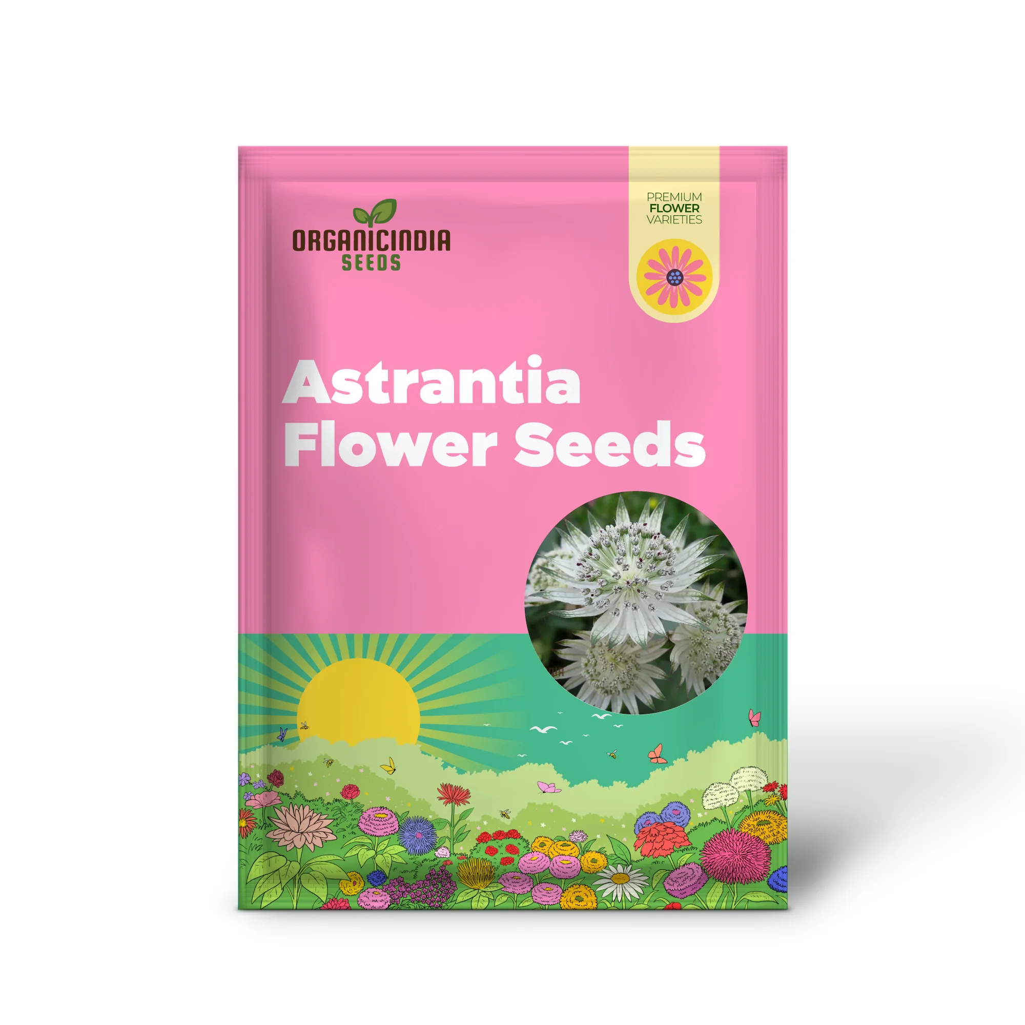 Astrantia Major Seeds For Planting: Premier Perennial for Enchanting Gardens | Shop Hardy Masterwort Plants Online" - Image 2