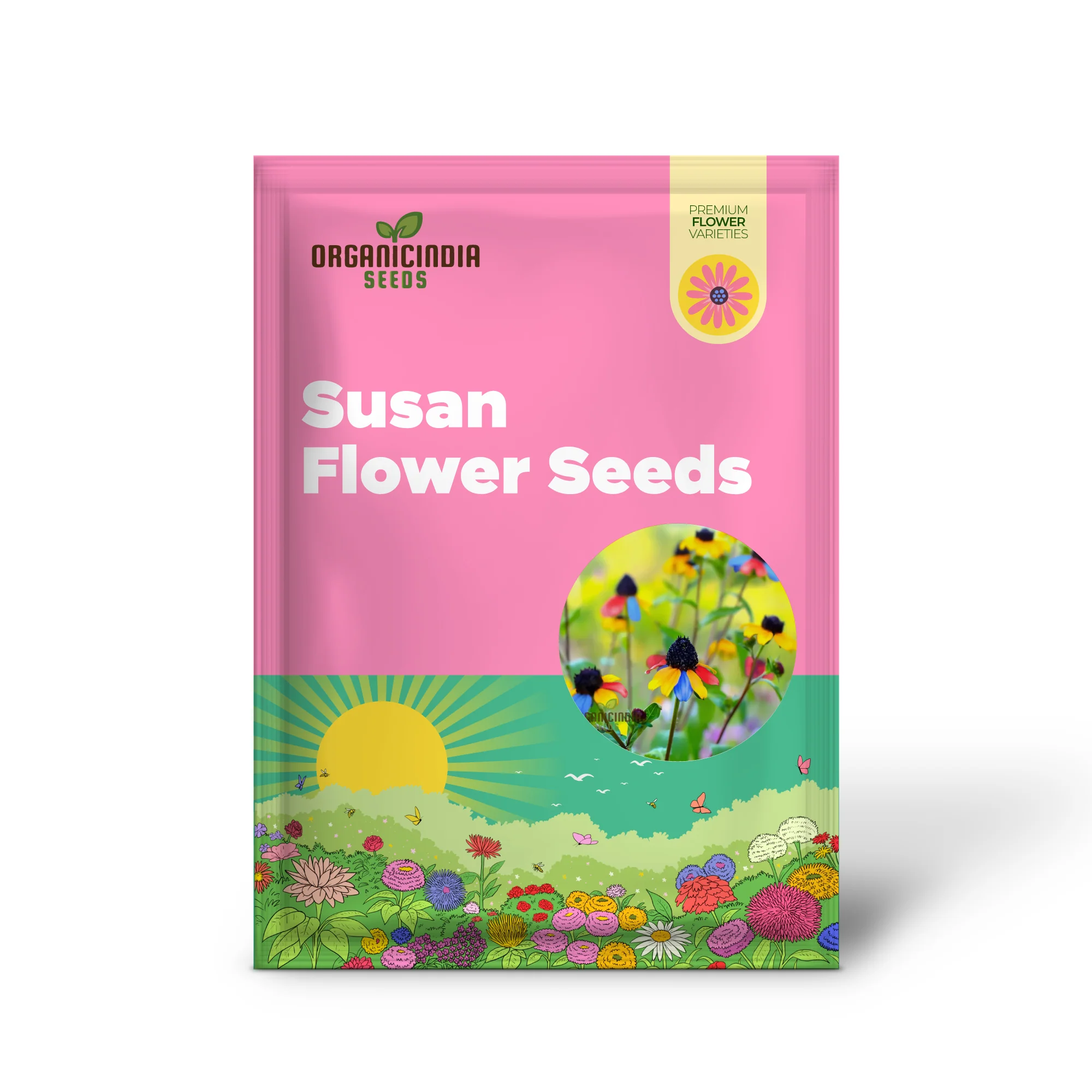Multicolored Susan Flower Seeds for planting- Vibrant Blooms for Butterfly-Friendly Gardens - Image 2