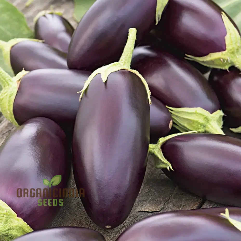 Aubergine Jewel F1 Mix Vegetable Seeds For Planting, Premium Mixed Seeds for High-Yield, Flavorful Aubergines - Image 4