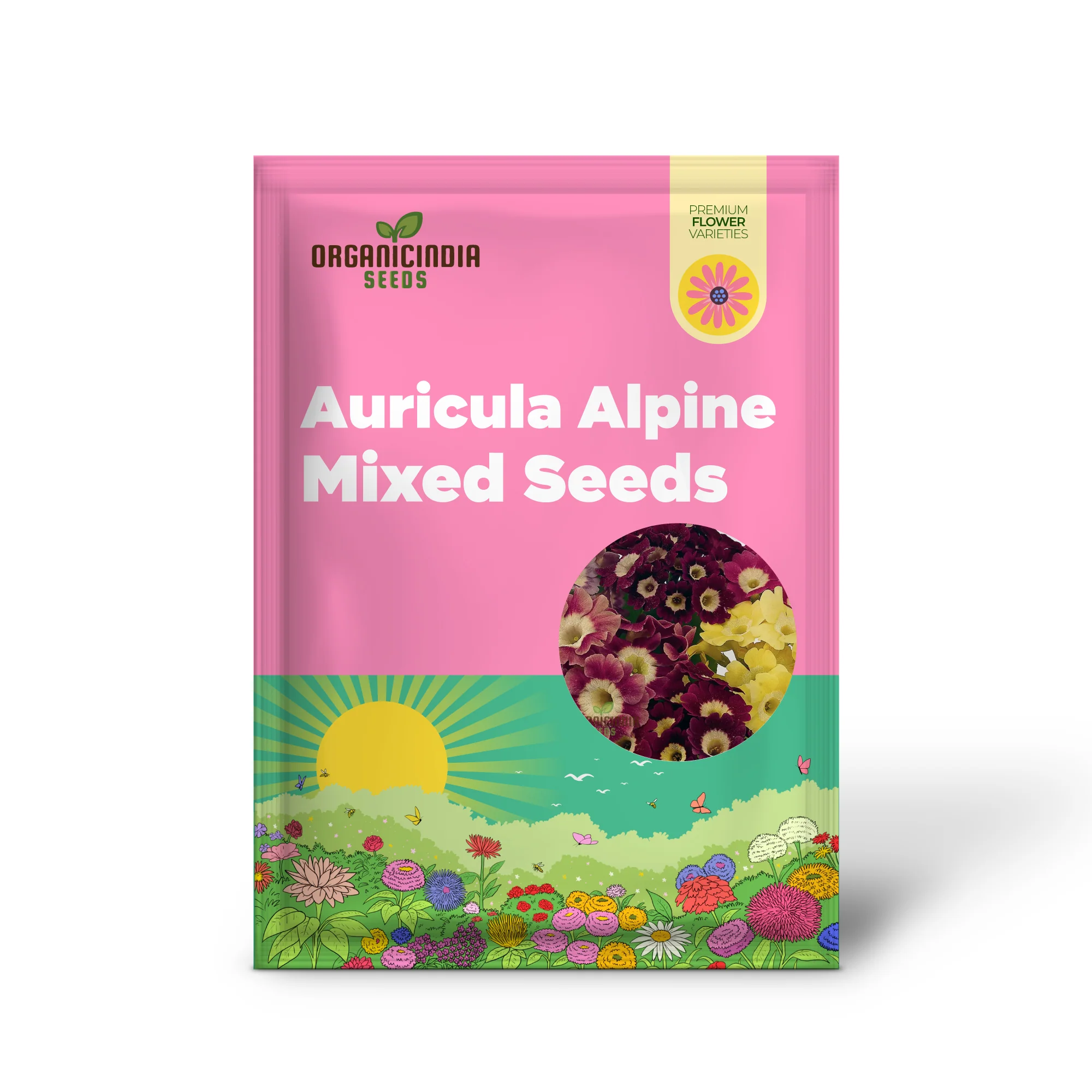 Auricula Seeds (Auricula Alpine Mixed Seeds) - Beautiful Alpine Mix for Gardens - Image 2