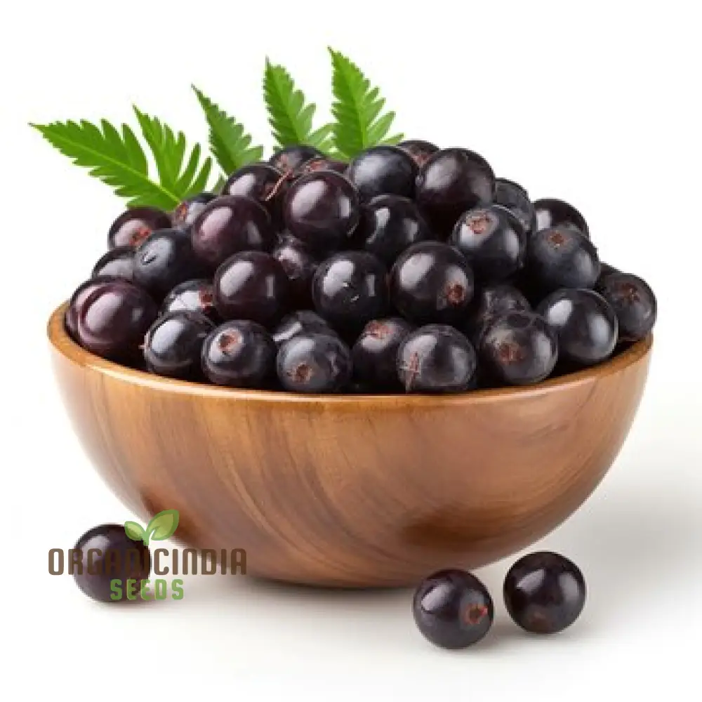 Azalea Garden Oleracea, Acai Berry Palm Fruit Plant Seeds (100pcs)
