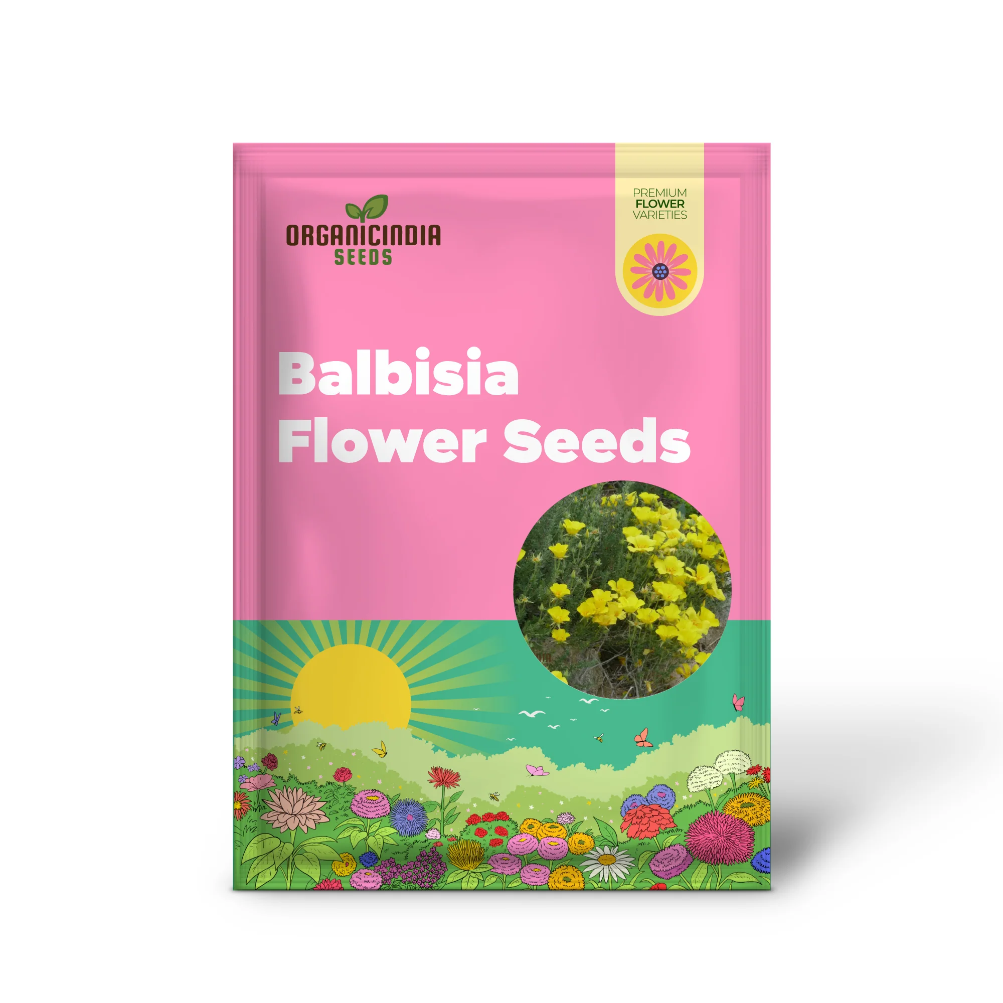 Balbisia Peduncularis Seeds For Planting- Exquisite Perennial for Your Enchanted Garden Sanctuary - Image 2