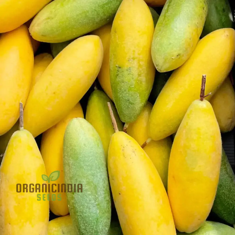 Banana Passion Fruit Seeds
