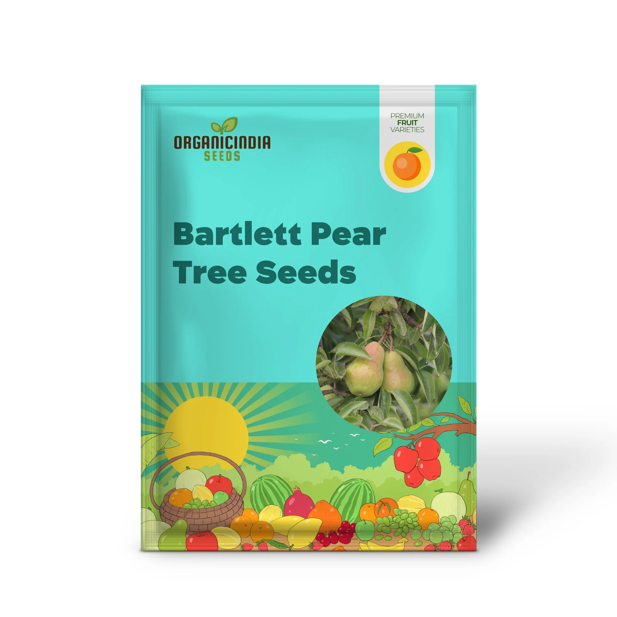 Bartlett Pear Tree (Pyrus communis) – Seeds - Image 2