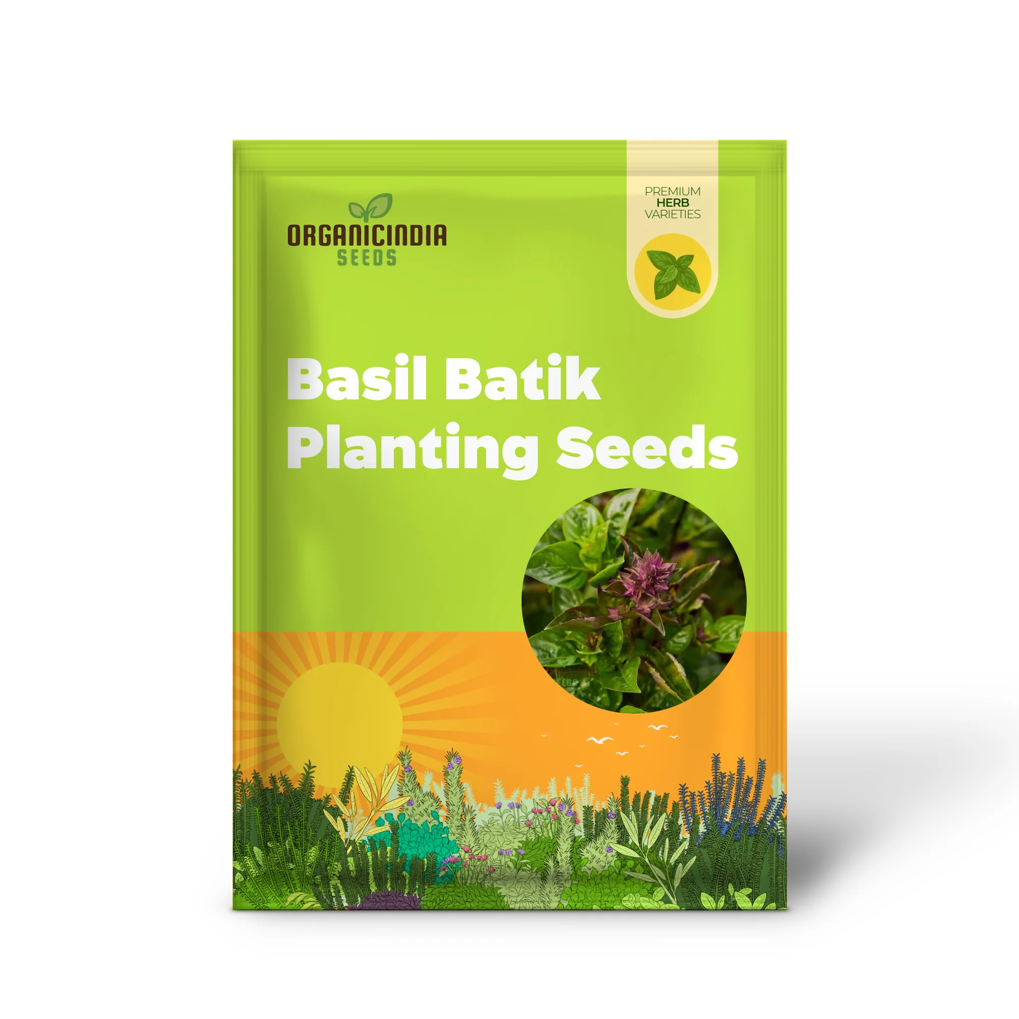 Basil Batik Seeds for Planting – Premium Organic, Aromatic & Flavorful Herb Variety - Image 2