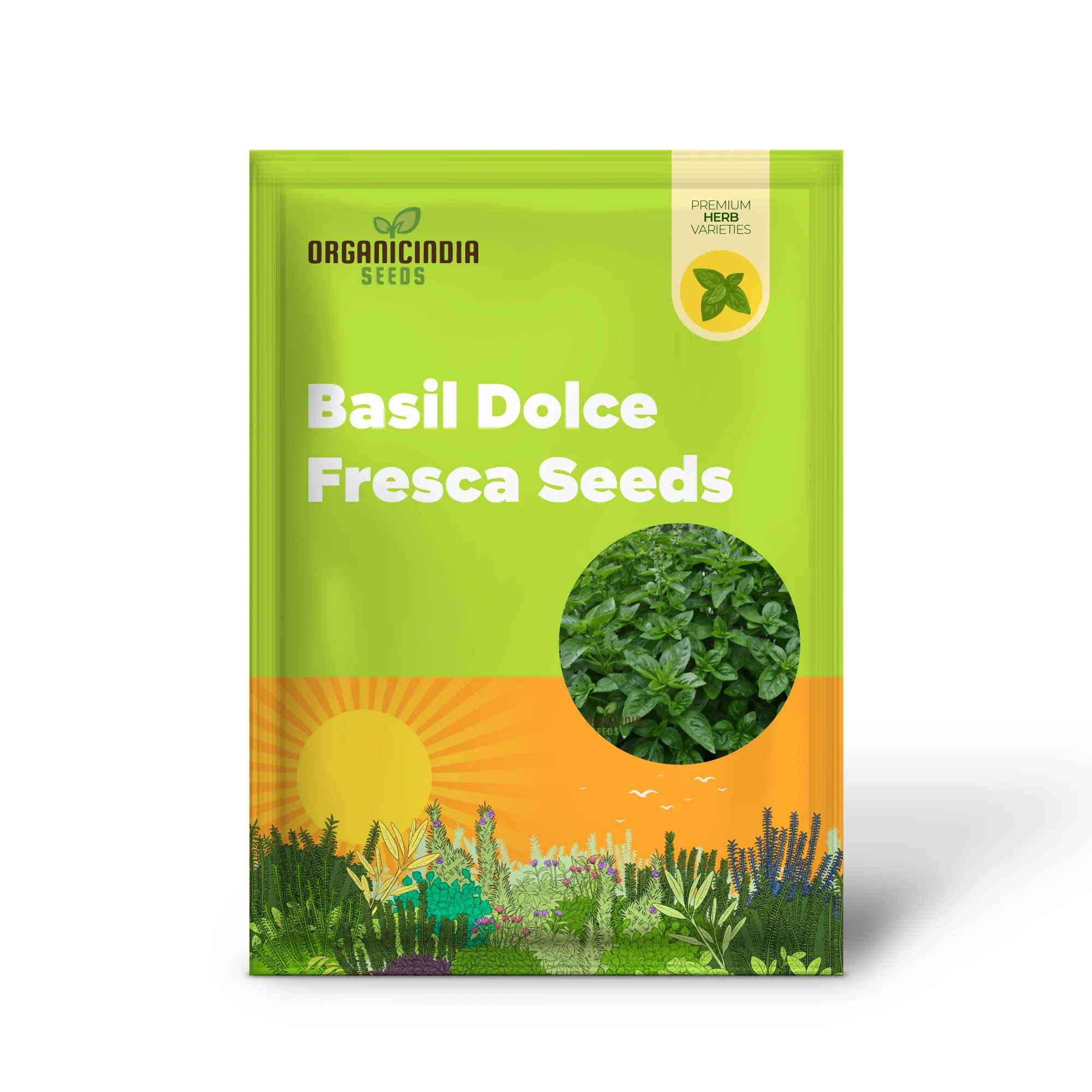 Basil Dolce Fresca Seeds – Premium Sweet Italian Basil for Home & Kitchen Gardens - Image 2