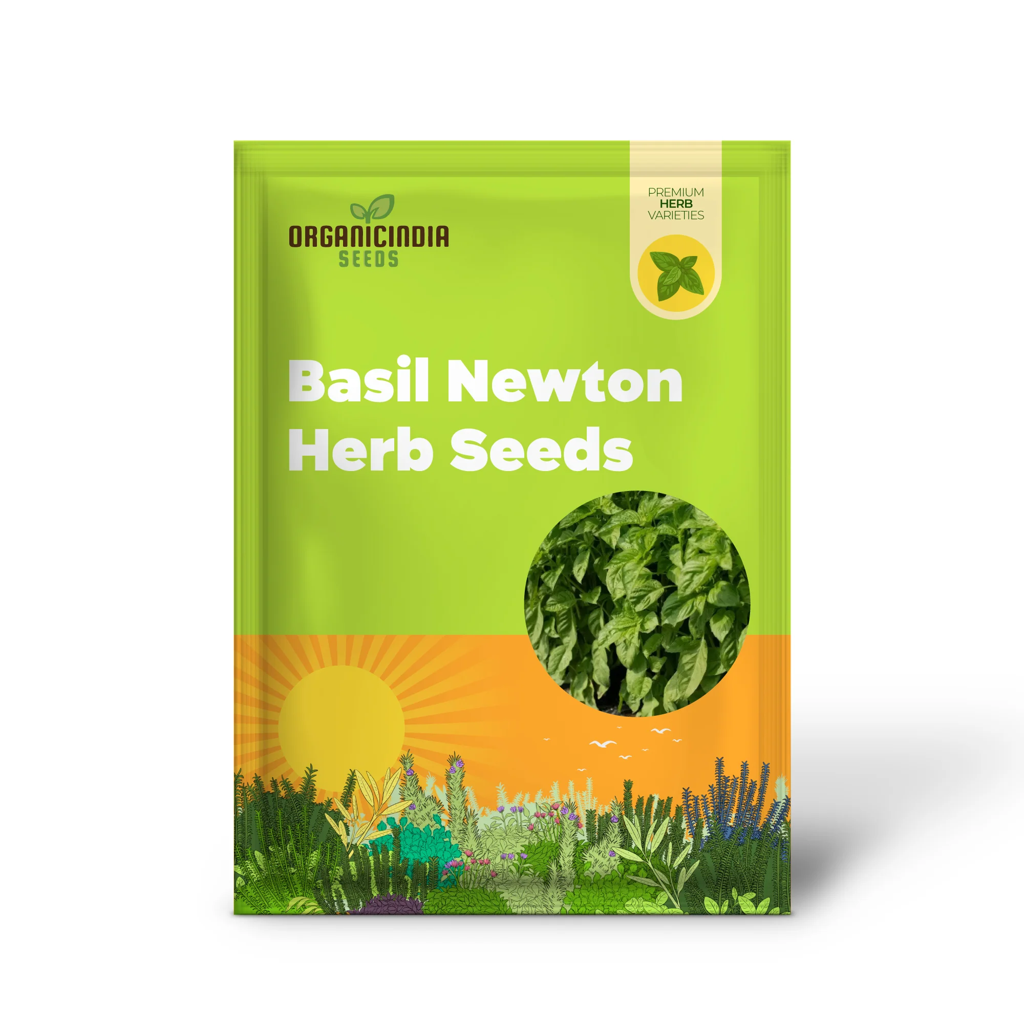 Basil Newton Herb Seeds – Fresh, Fragrant, Easy-to-Grow Basil for Home & Garden - Image 2