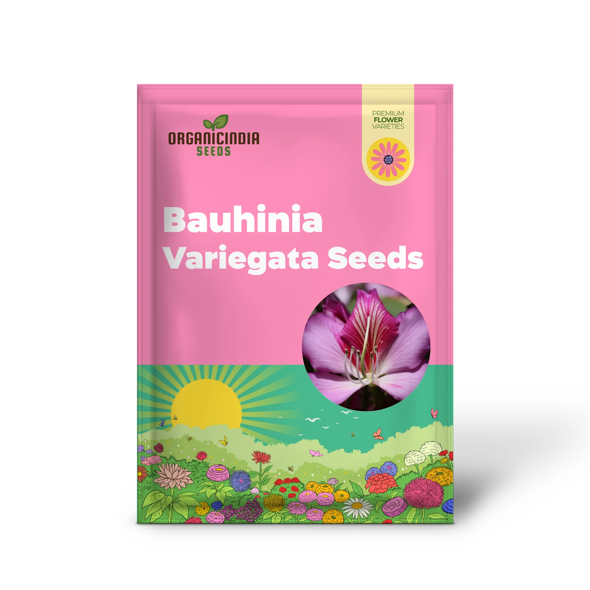 Bauhinia Variegata Seeds For Planting: Discover the Beauty of Gardening with this Spectacular Ornamental Tree - Image 2