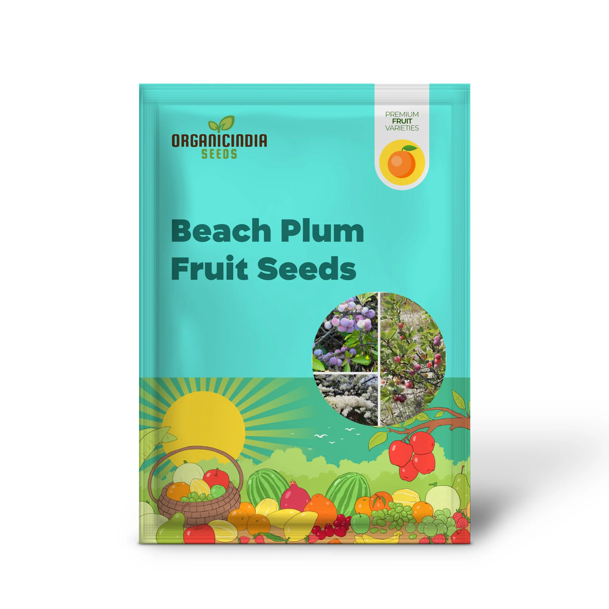 Beach Plum Fruit Seeds - Image 2